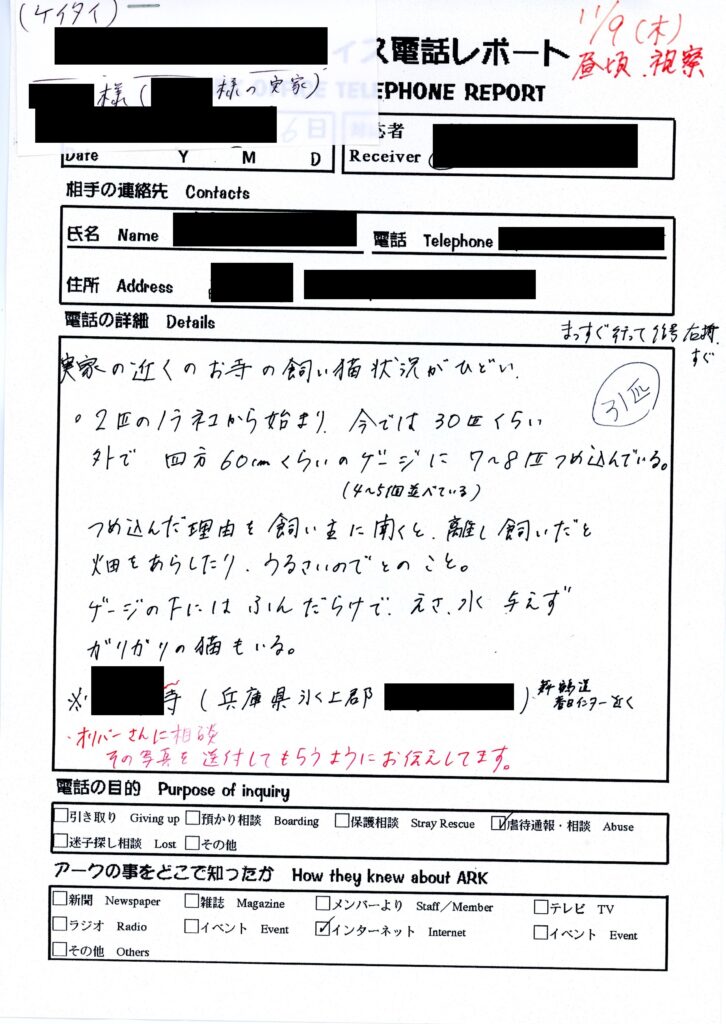 保護中: お寺の猫虐待（兵庫県）