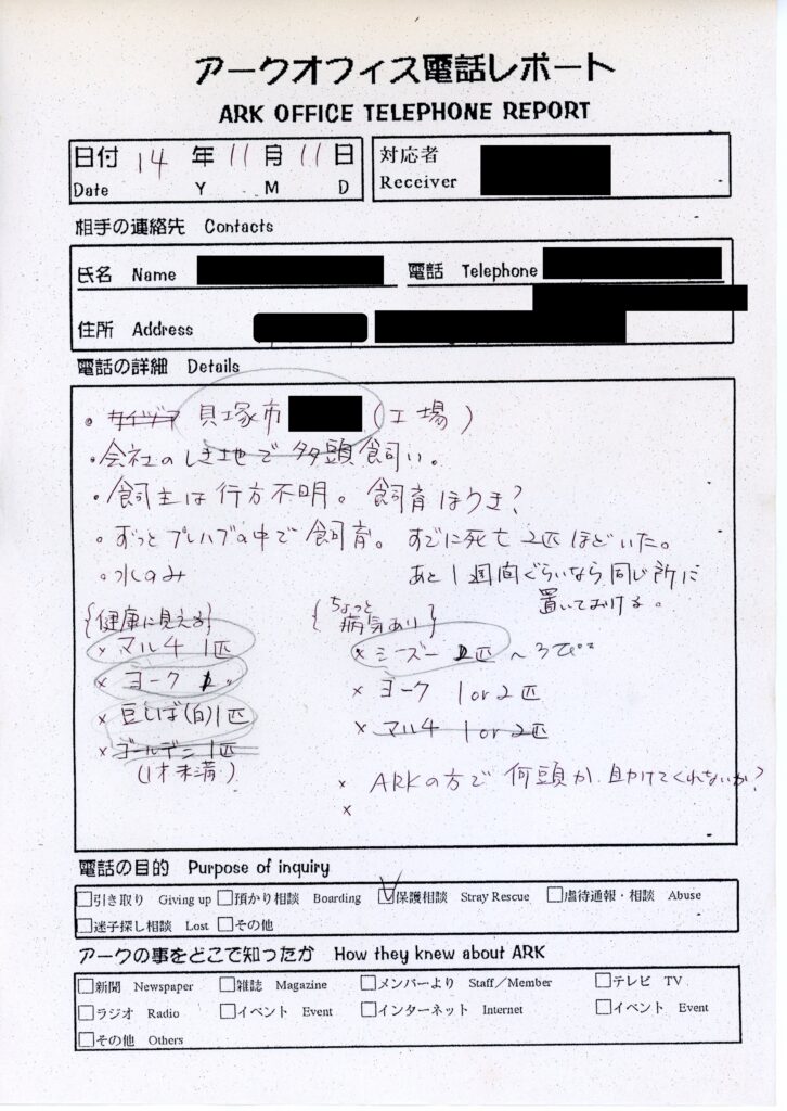 保護中: 多頭飼育者（貝塚市）_2002年11月