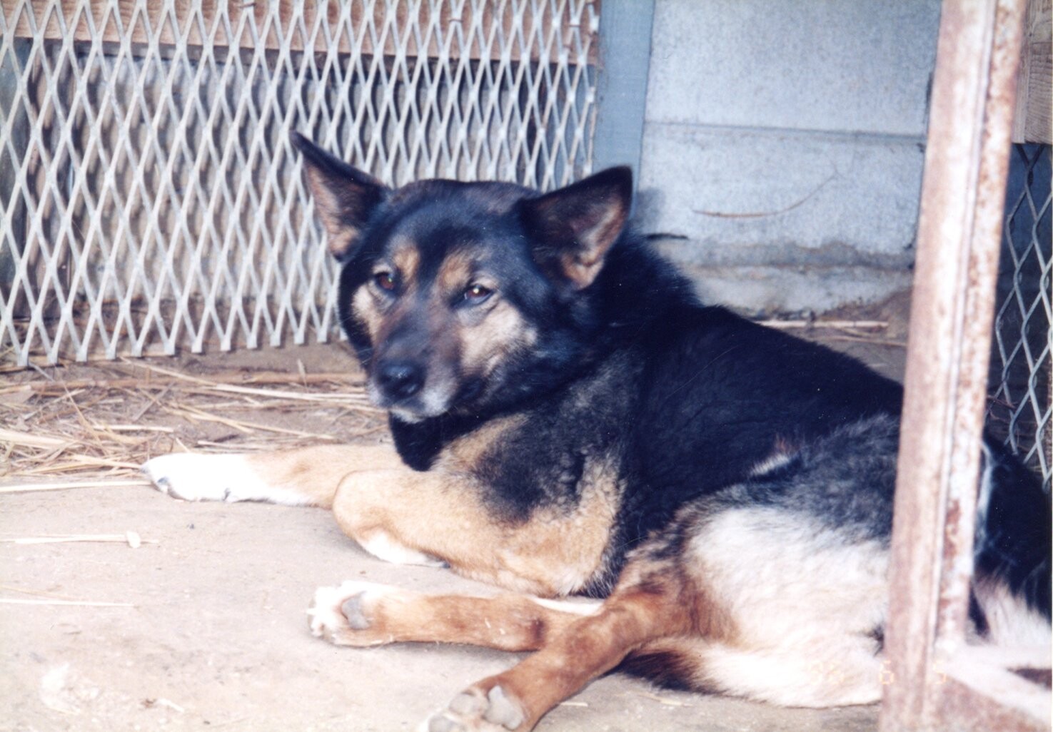 クラウディア