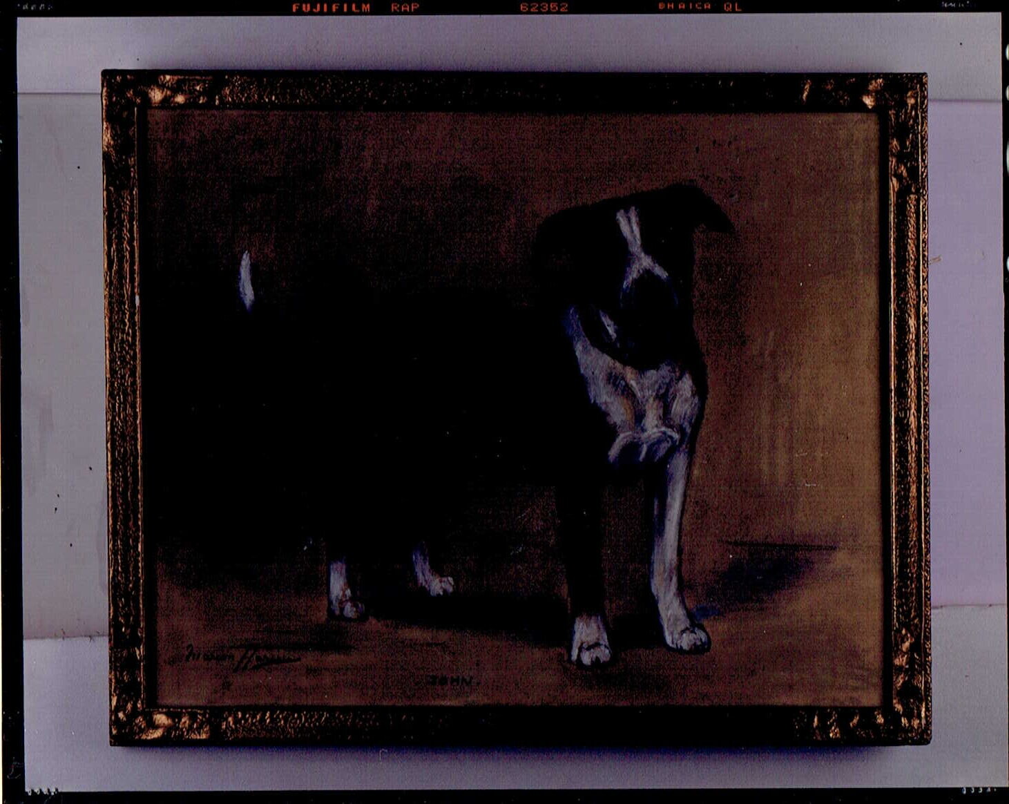 フレームに入った犬の絵