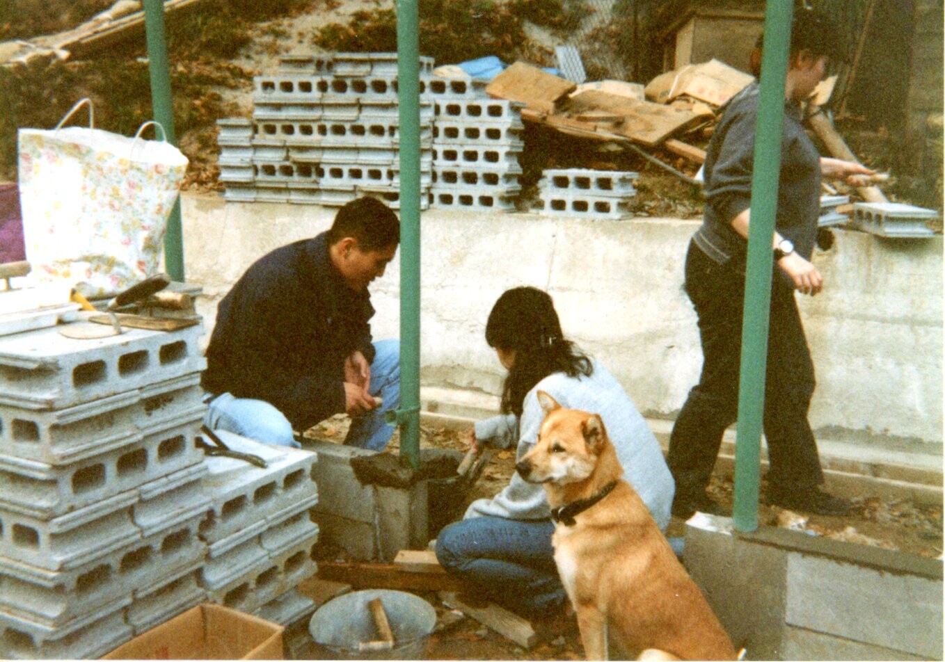 犬舎建設のためのボランティア