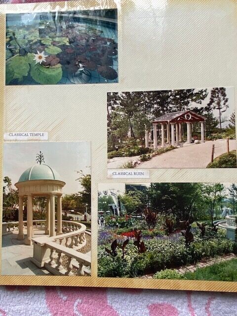 トレミング前の写真