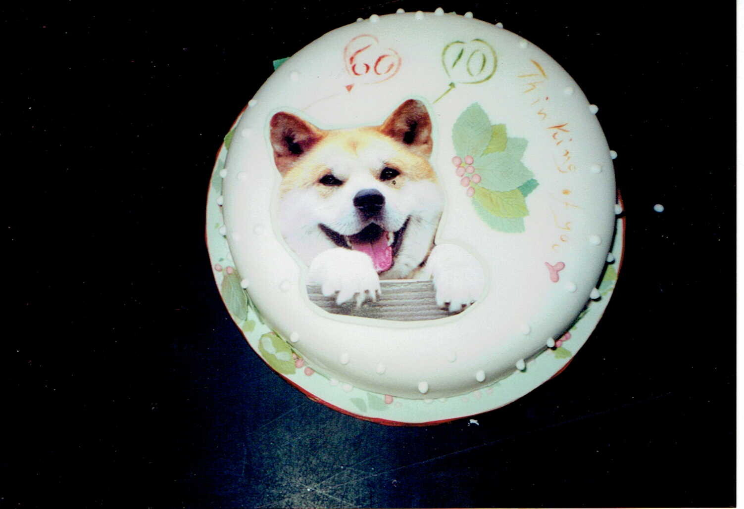 犬の誕生日_2000年