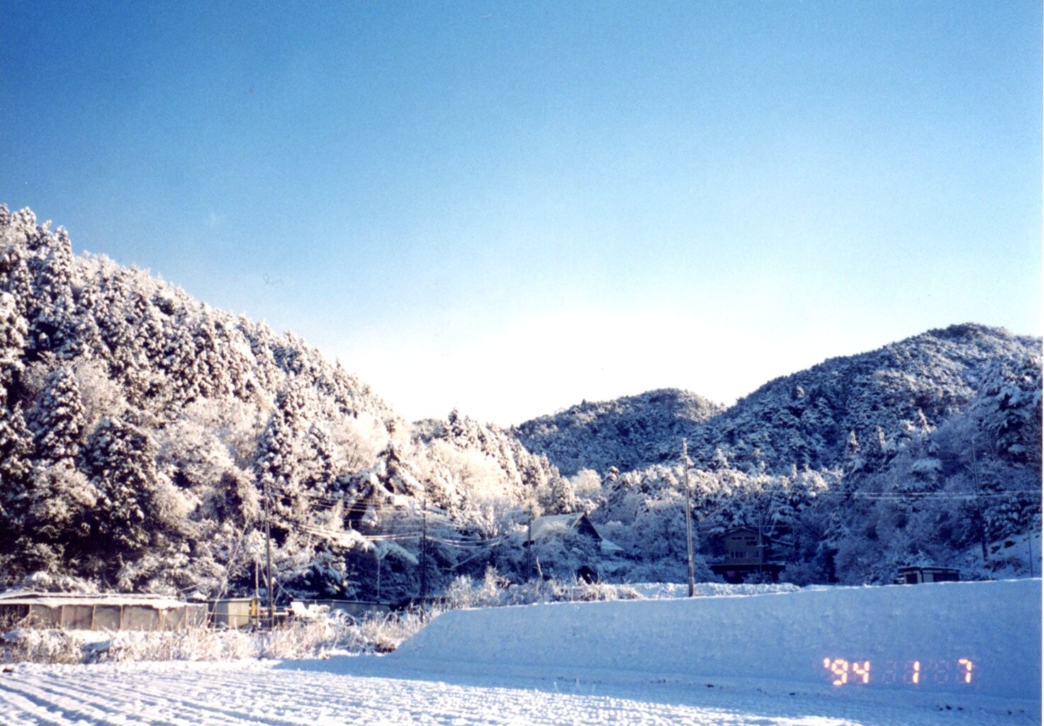 1994年又は1997年冬