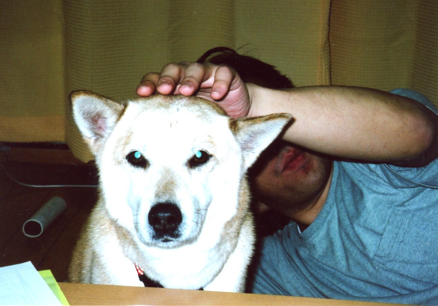 小川さんと一緒に