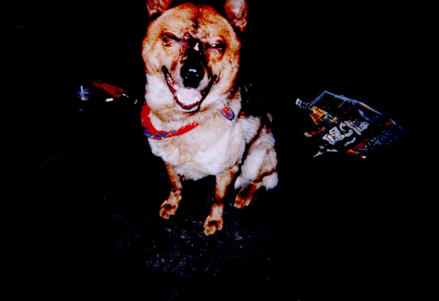 レッド・ロッキー