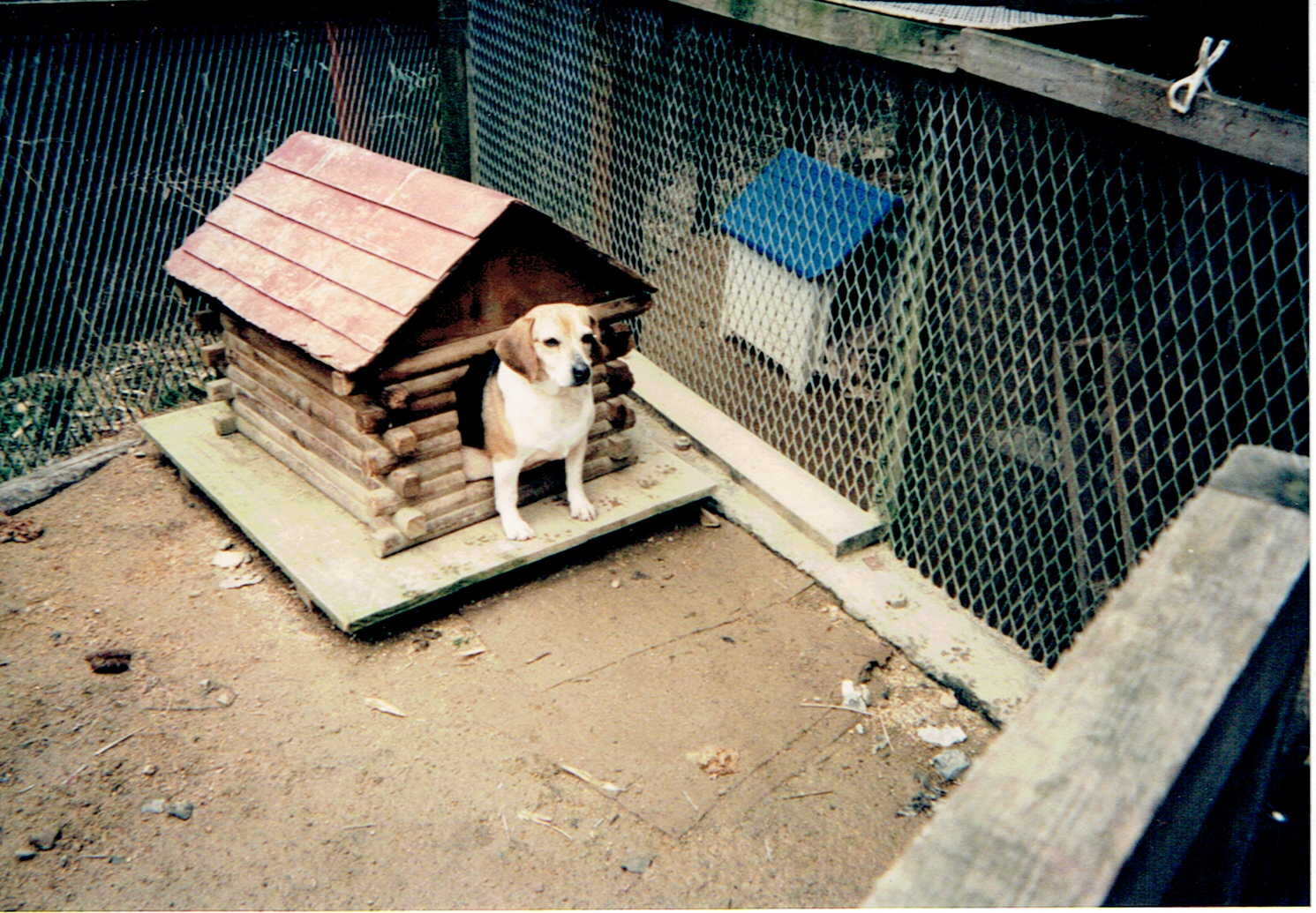 ウェンディー