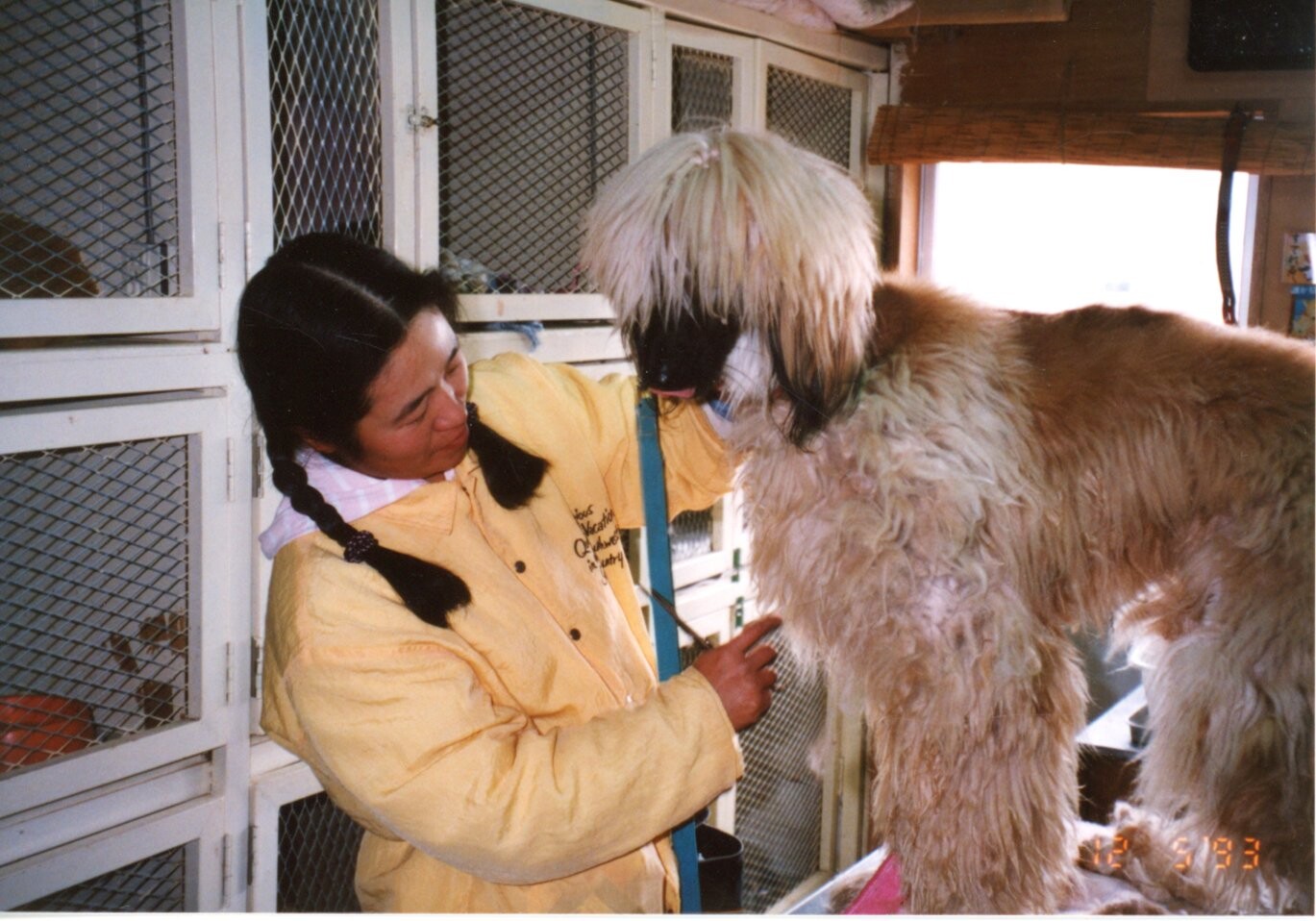 アフガンハウンド