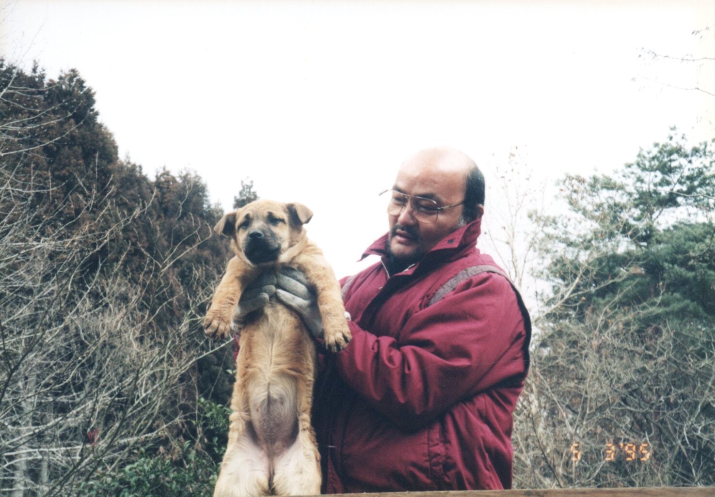 おじさんと写った茶色い子犬たち