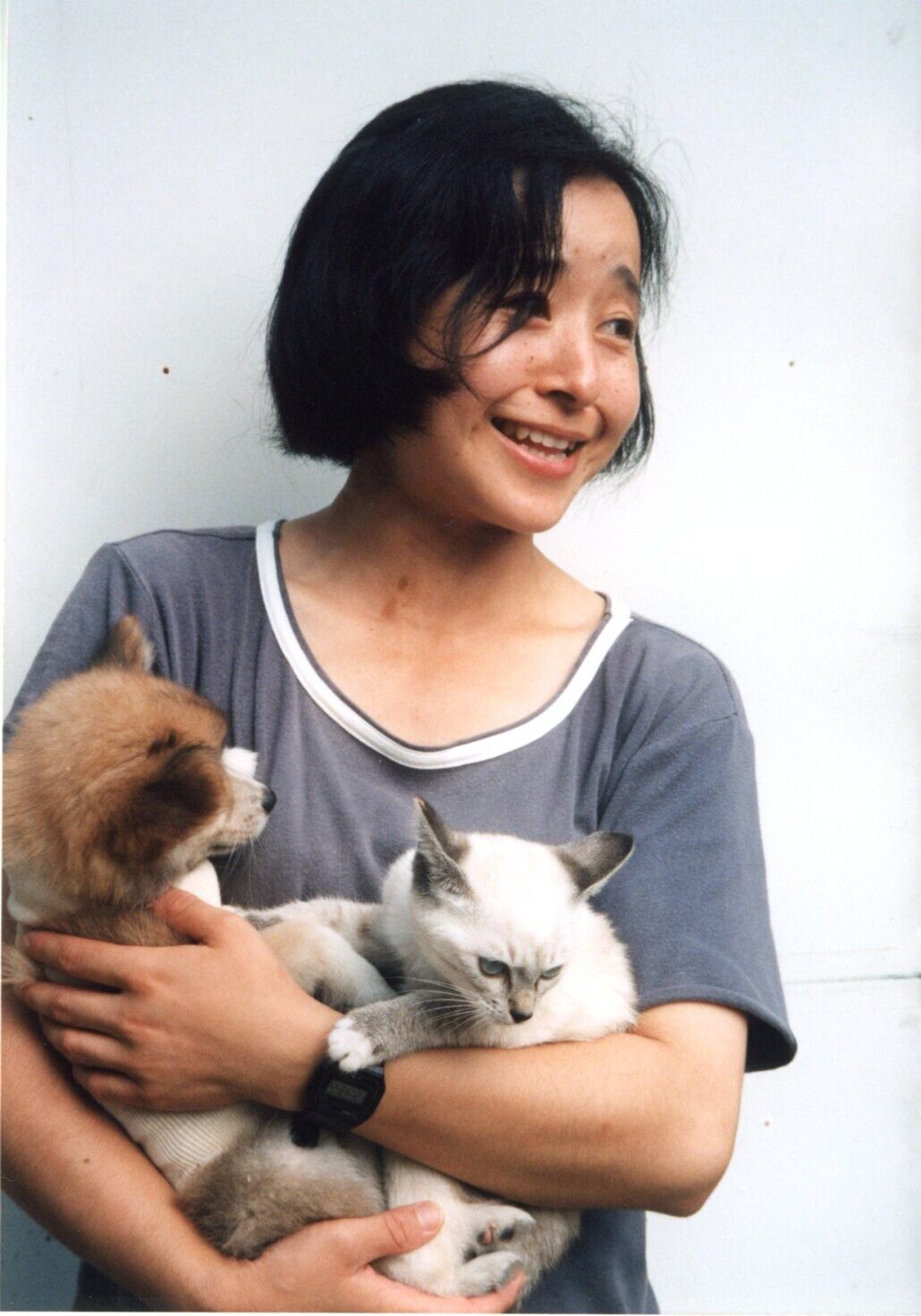 $茶色と白のふわふわ毛の子犬