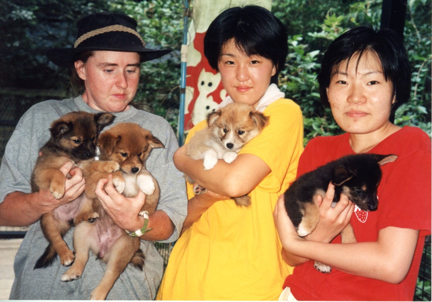 茶色黒白の子犬たち