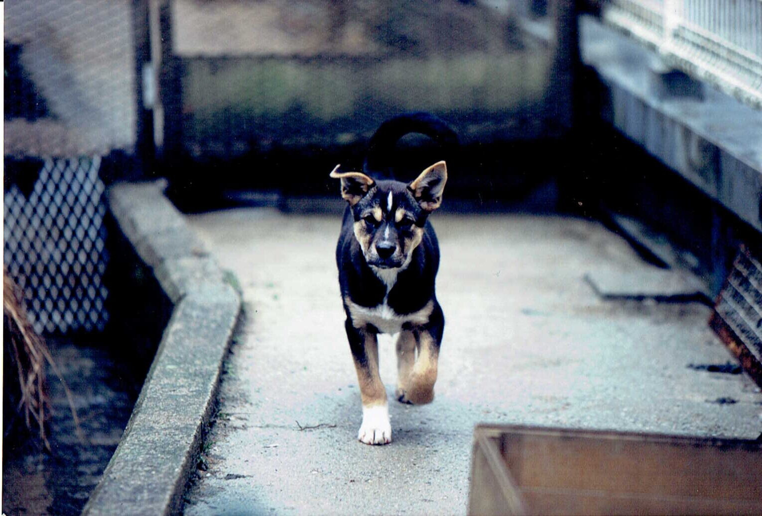 プロが撮った写真