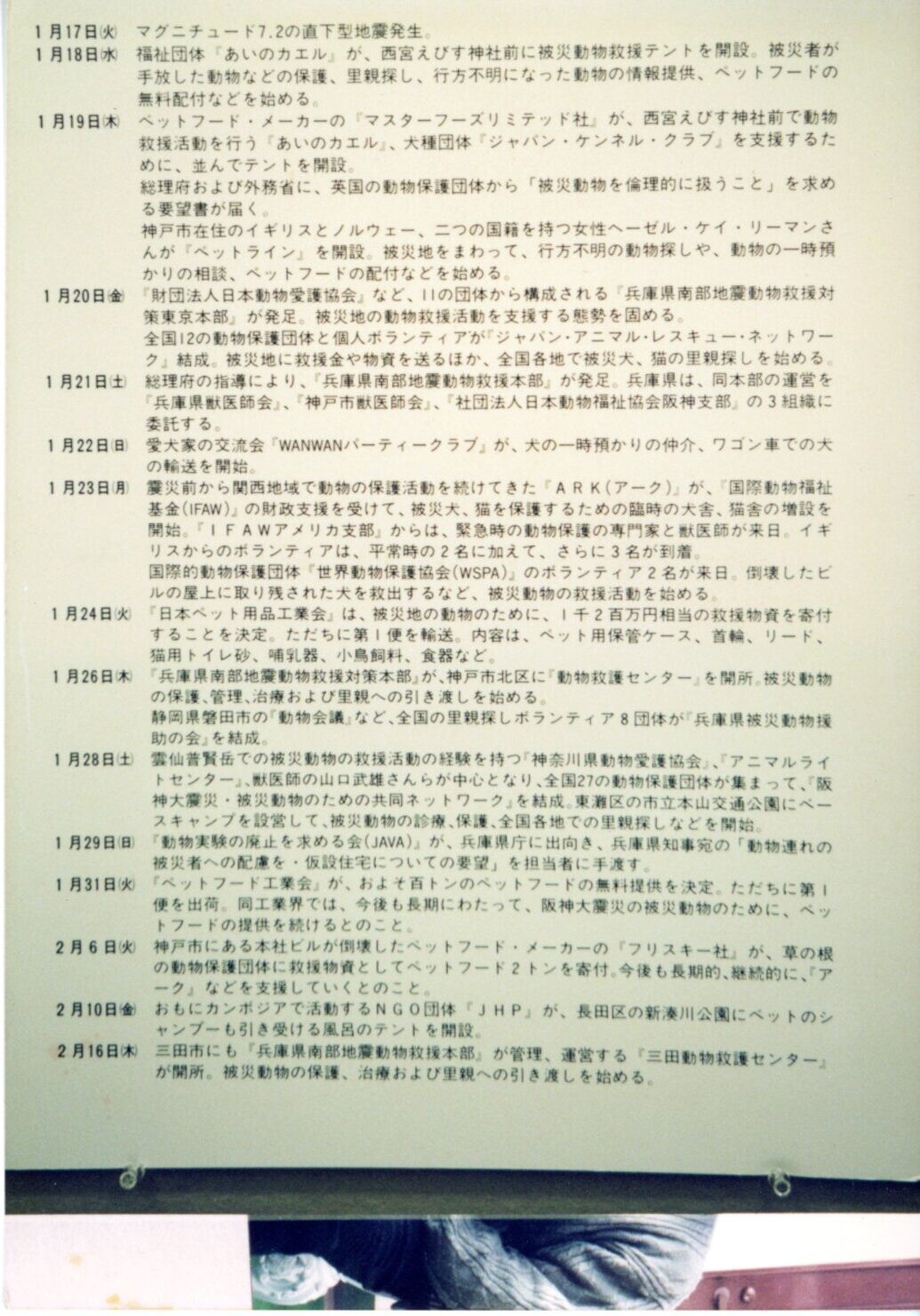 1995年冬の犬たち