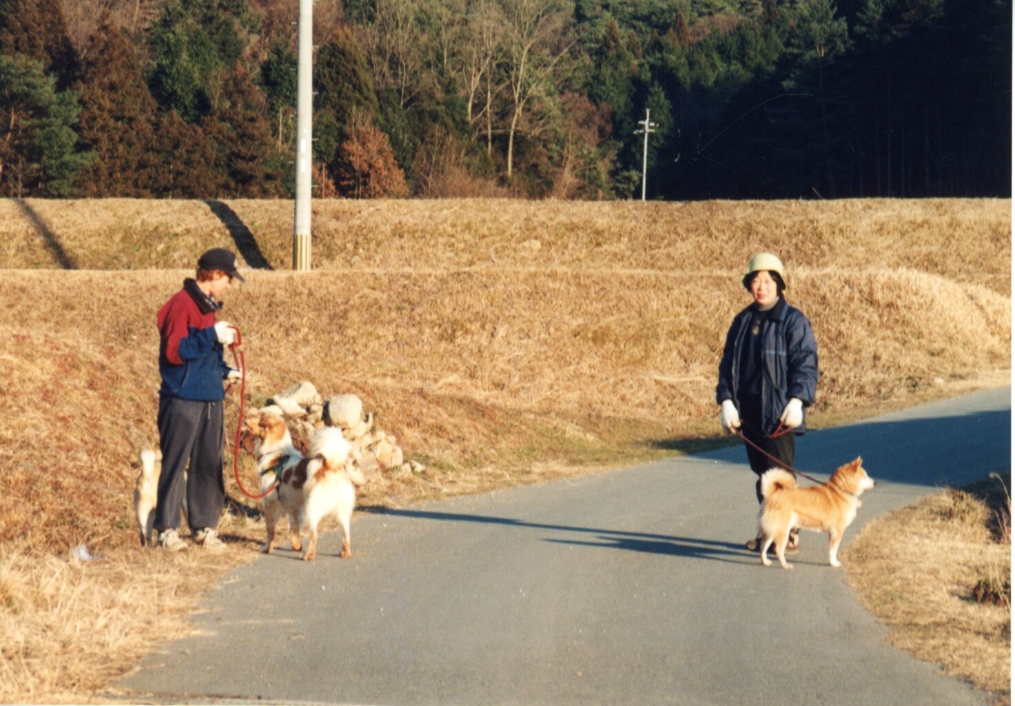 1998年冬の犬たち