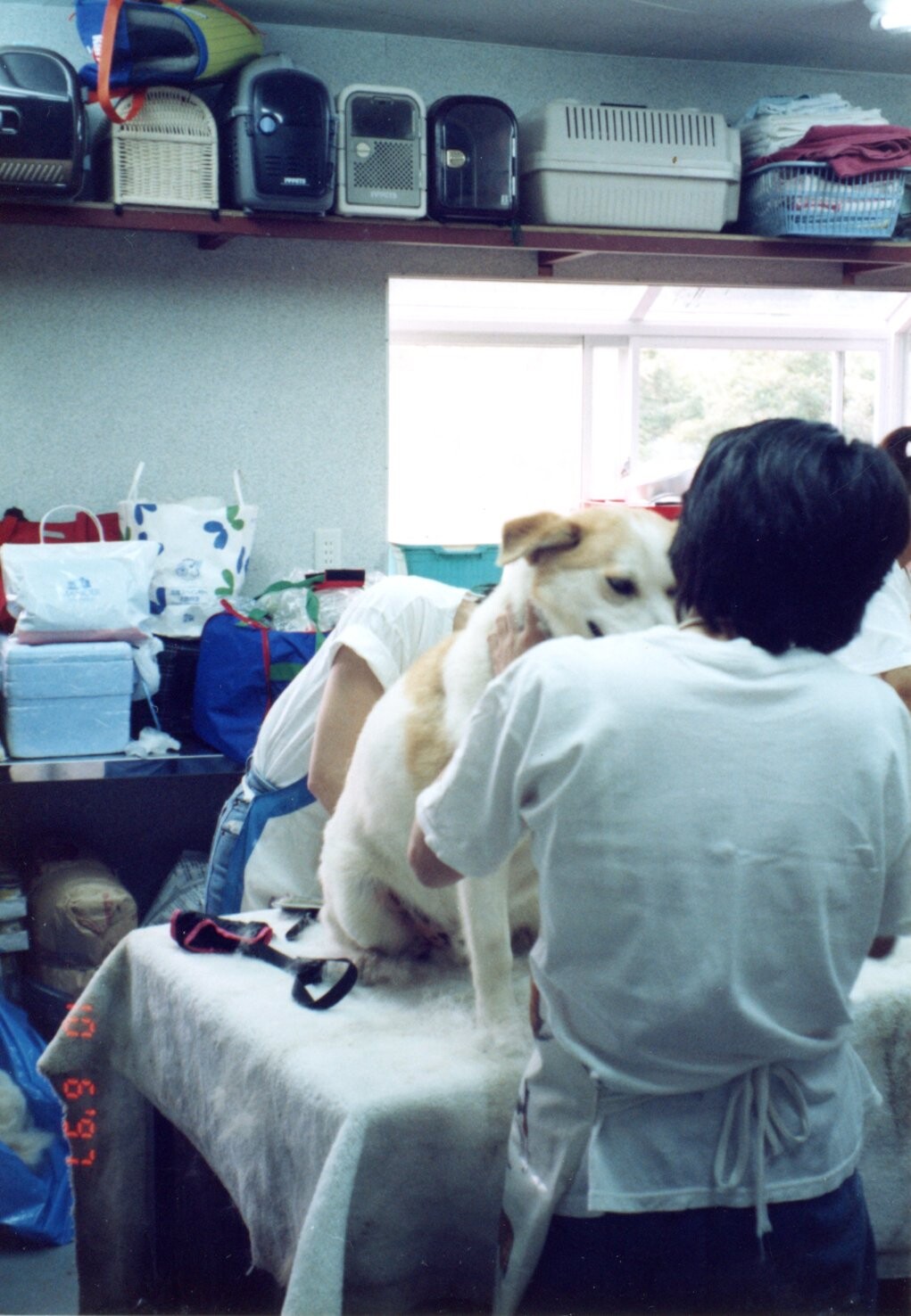 トレミングボランティア_1997年6月