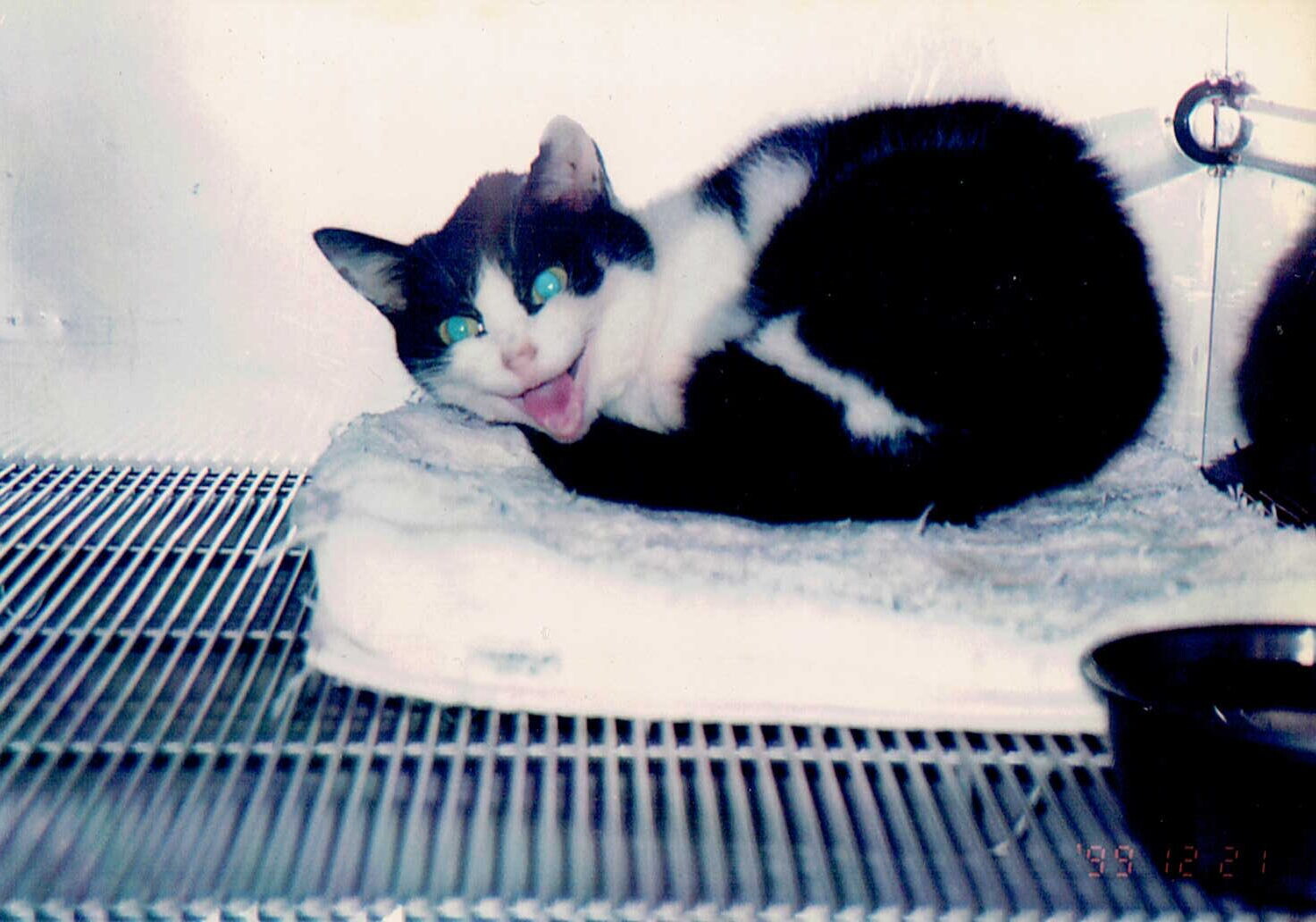 トリポッド