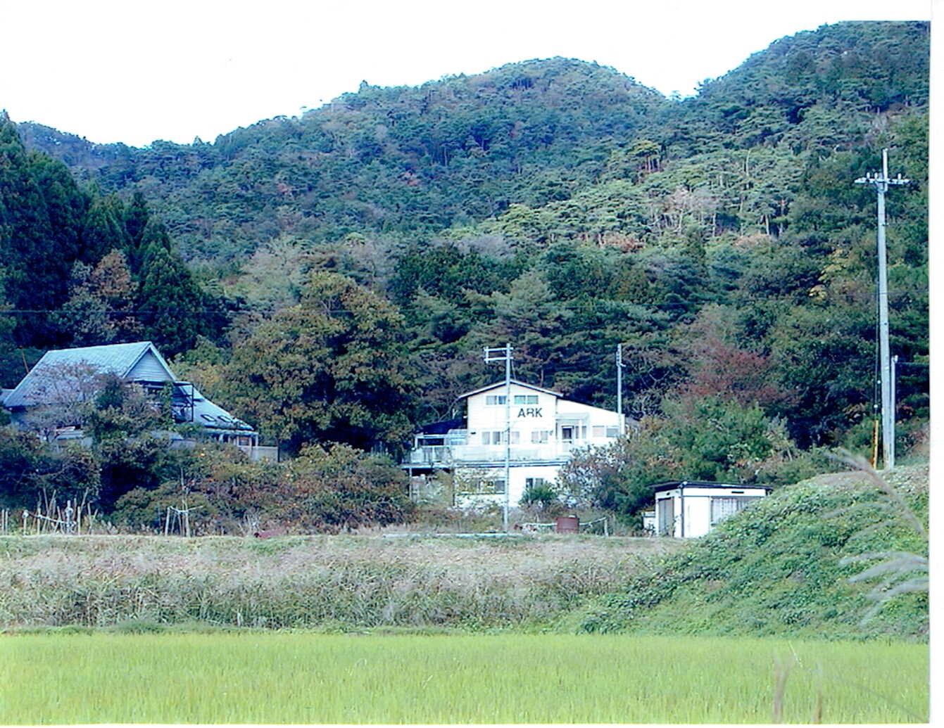 シンちゃん・ティナ・リカ・メグ_2000年1月