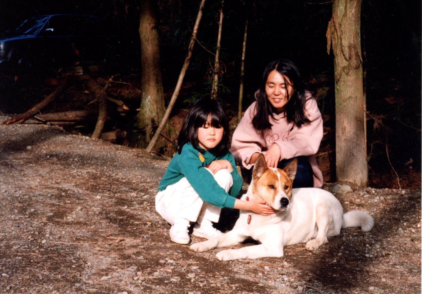 白と茶色の雑種