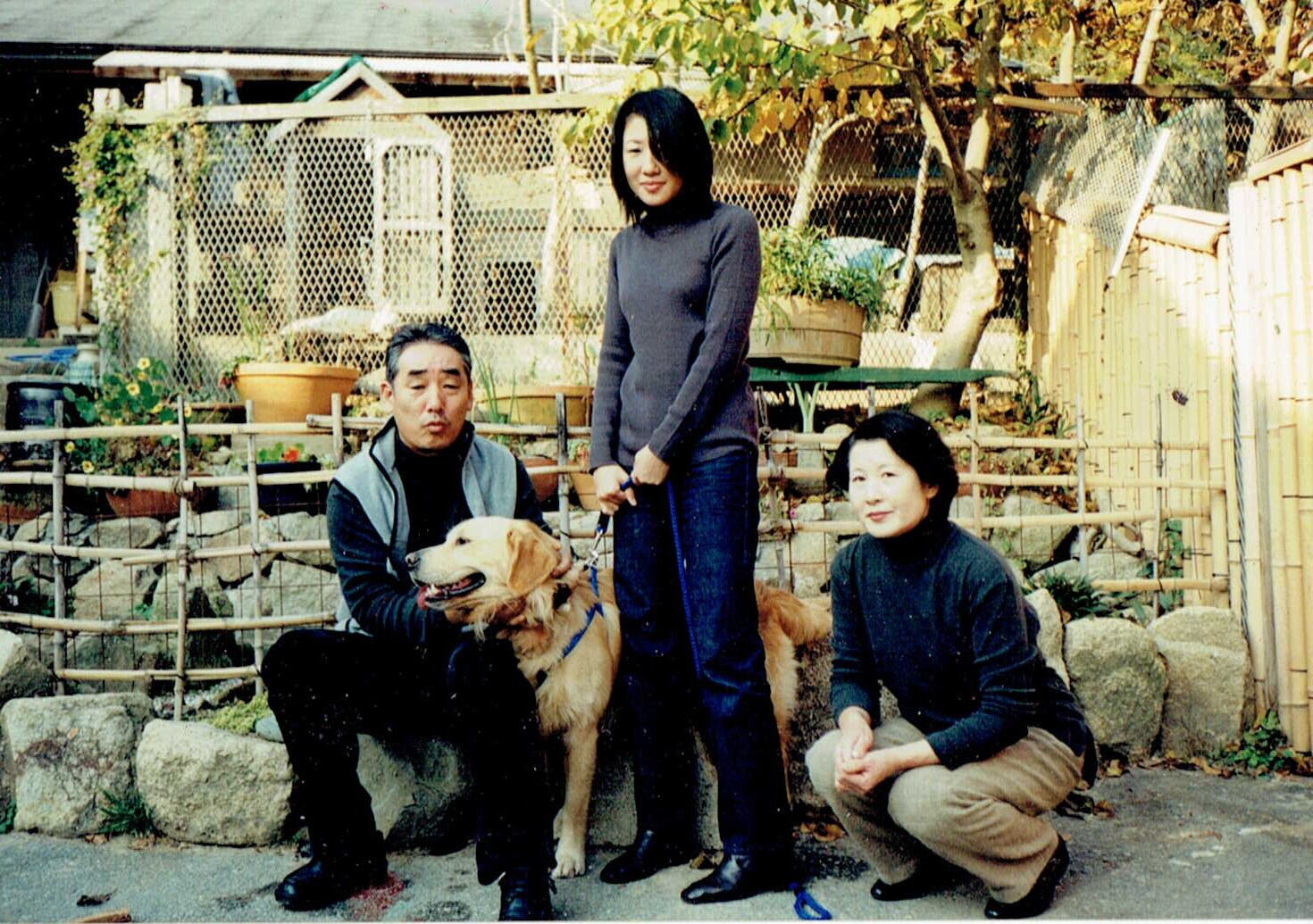 ラブラドール