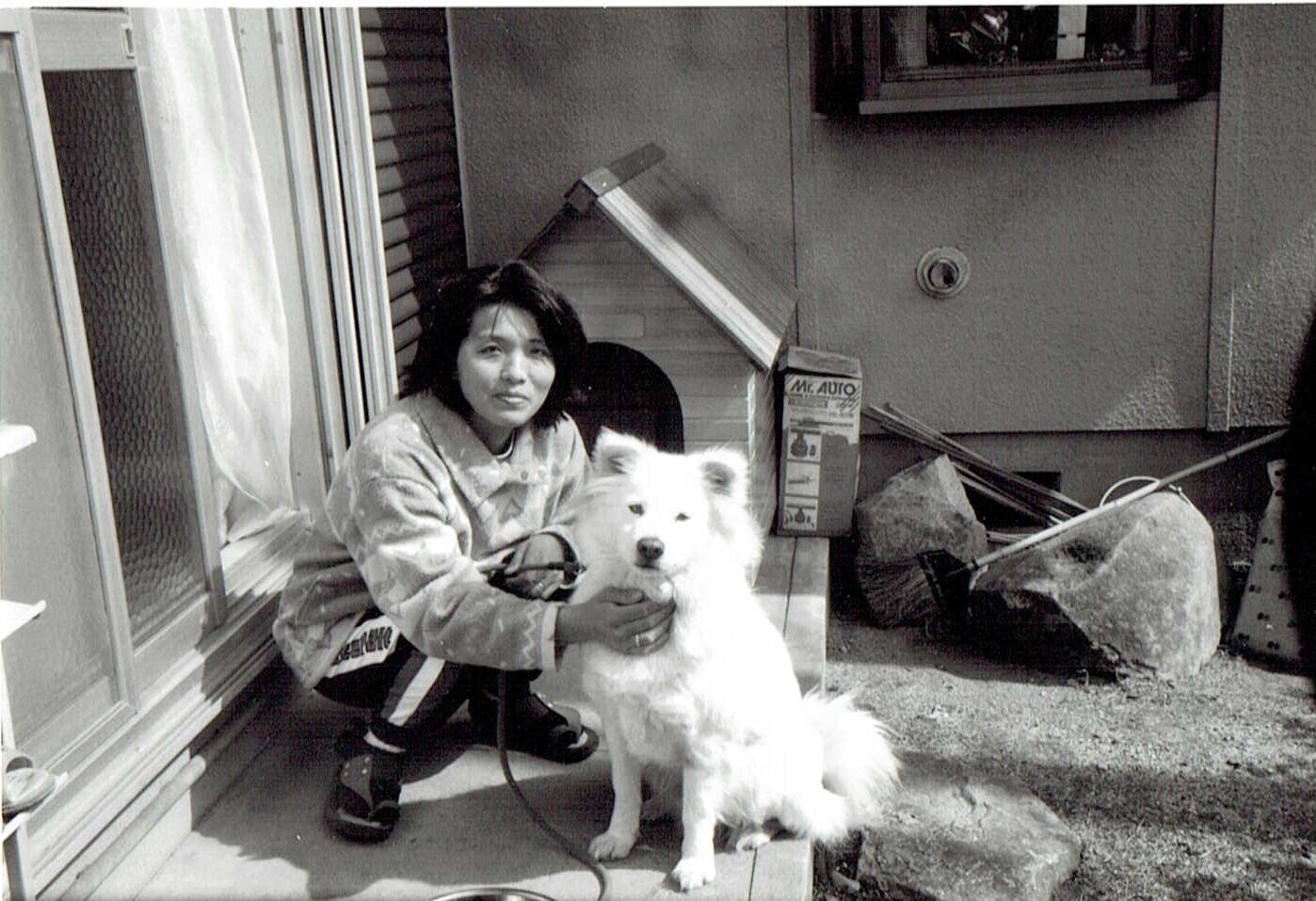 毛がふわふわの白い犬