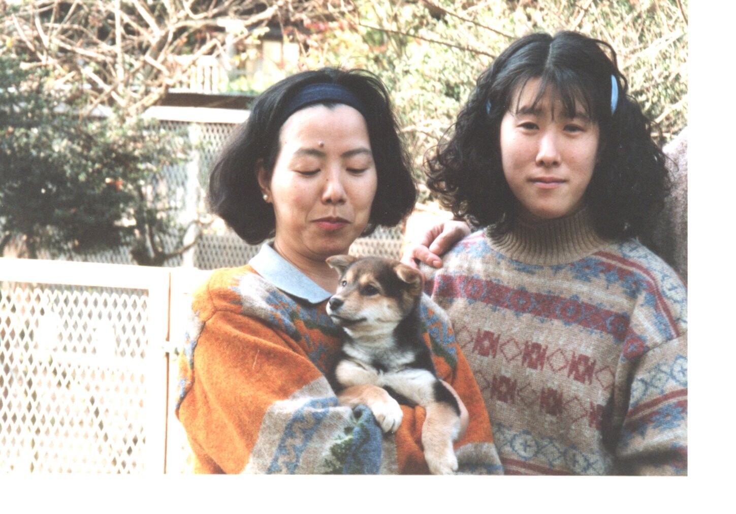 茶色と黒の子犬