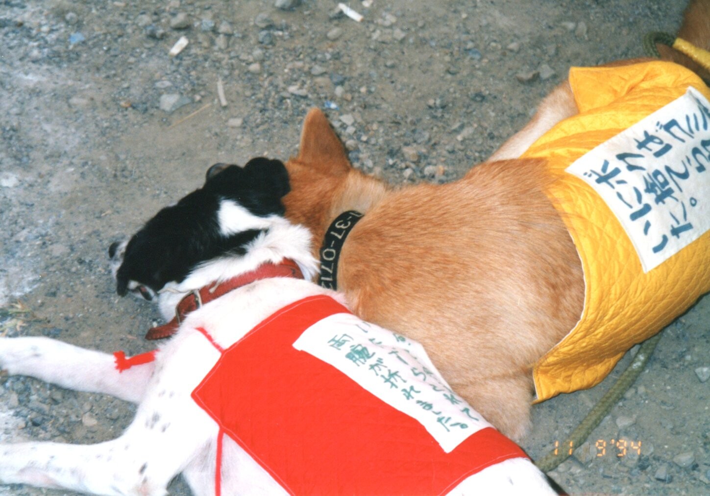 京都フェスティバル_1994年9月