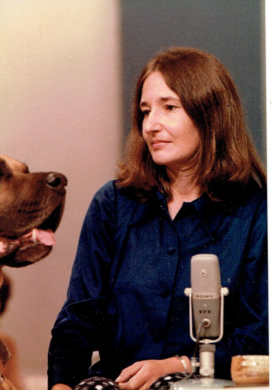 ワクを連れての講演会