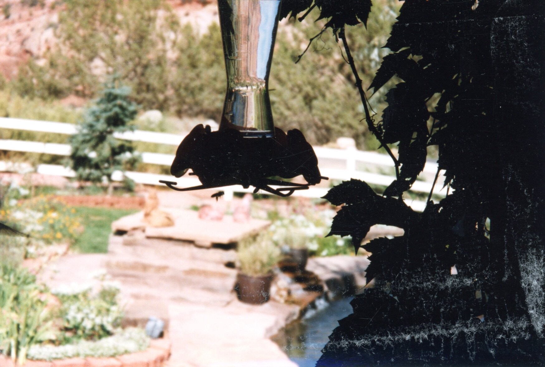 ベストフレンズアニマルサンクチュアリ・ユタ州エンジェルキャニオン