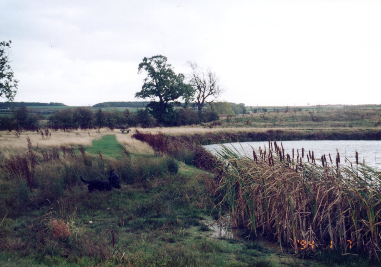 ジョン・グリッパーの生誕地_1994年