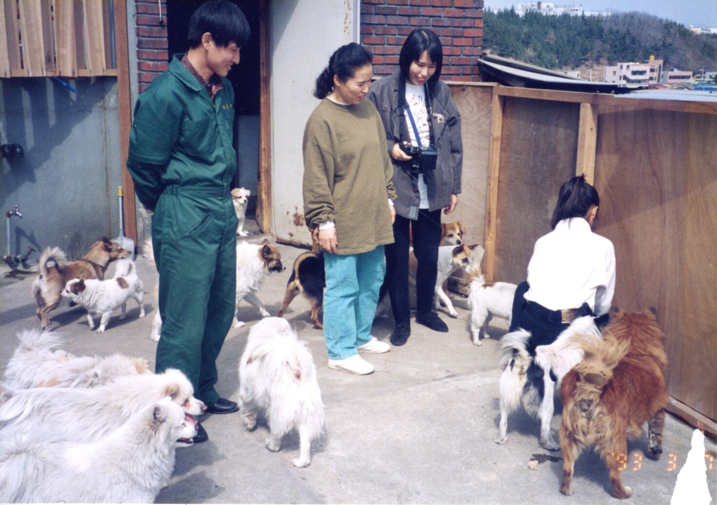 韓国テグのシェルター_1993年