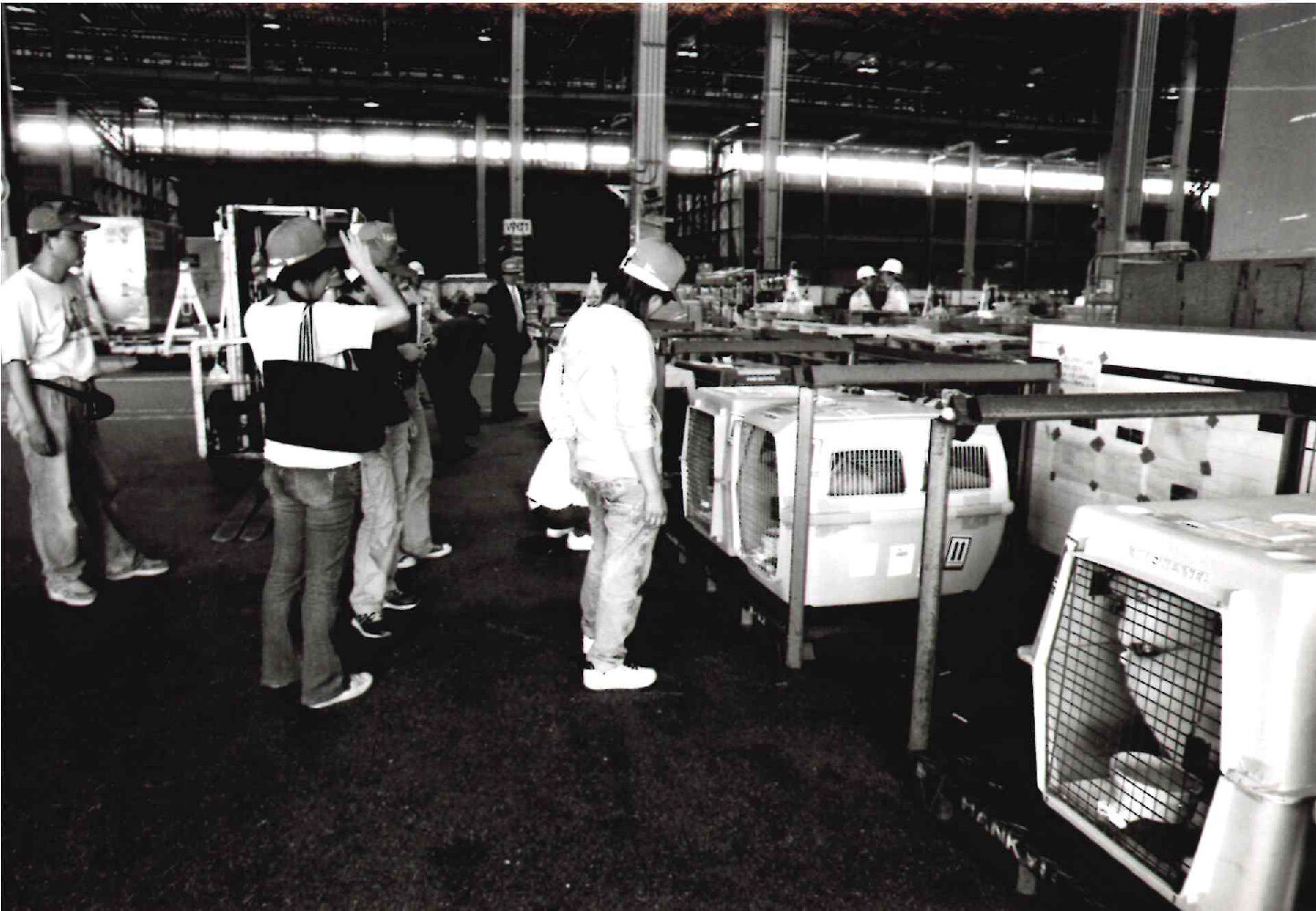 EUへの犬の輸送