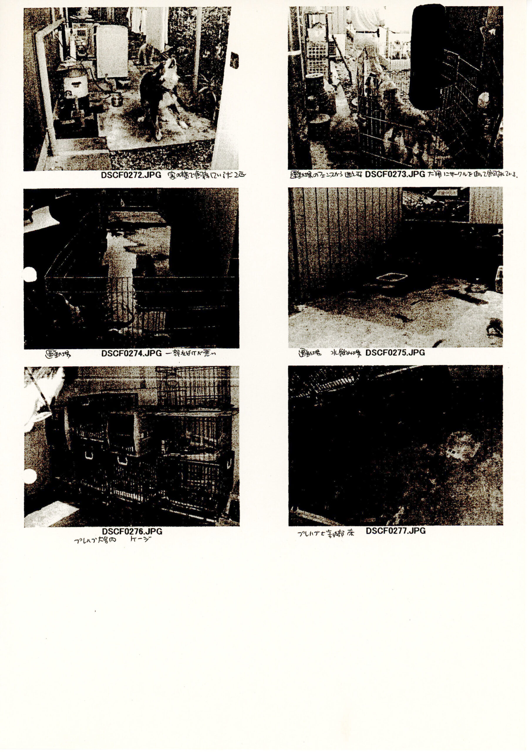 保護中: 1995年2月