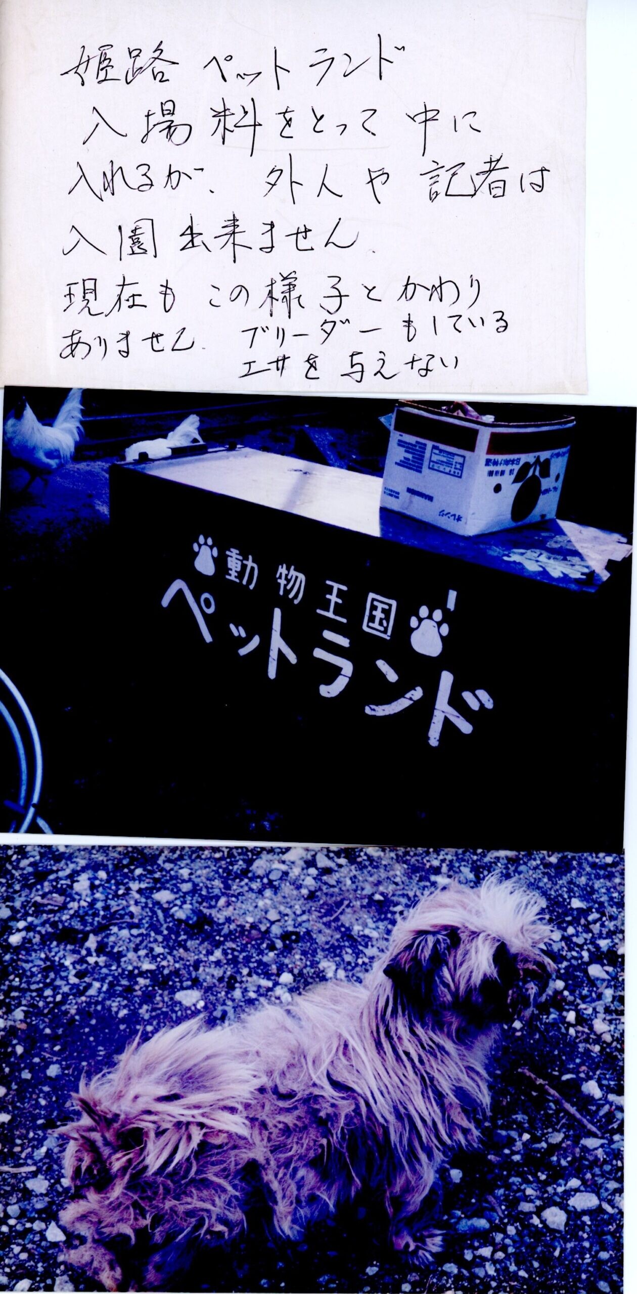 保護中: 年度不明