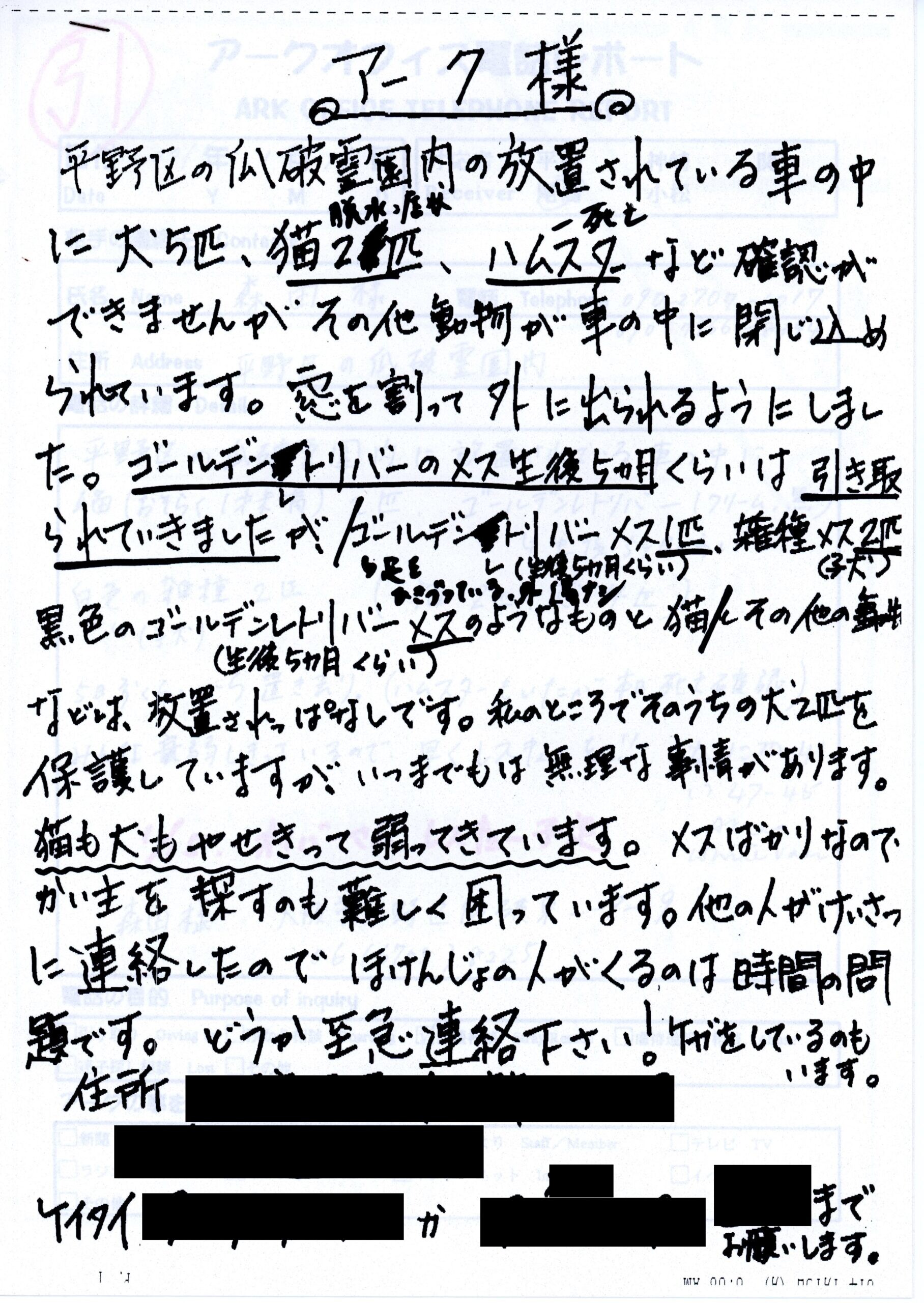 保護中: 霊園に放置された車の中の動物たち_2001年1月