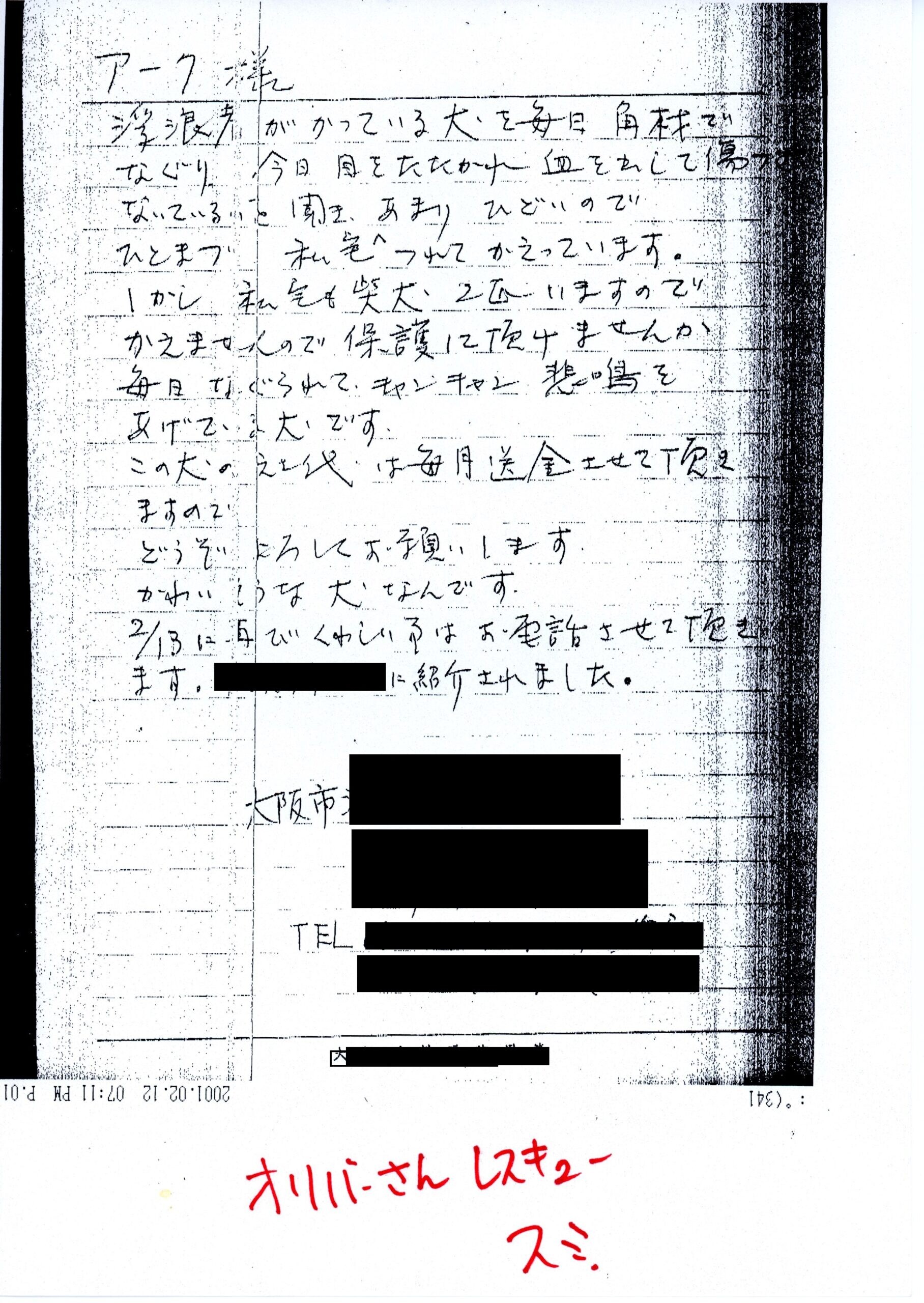 保護中: ホームレスによる犬の虐待_2001年2月