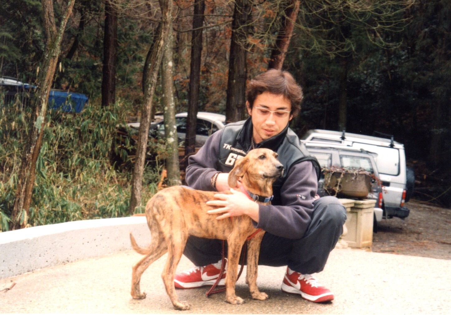 保護中: 犬の虐待ケース1