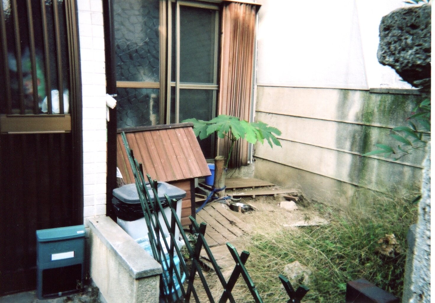 保護中: ぺケの虐待事件_2005年11月