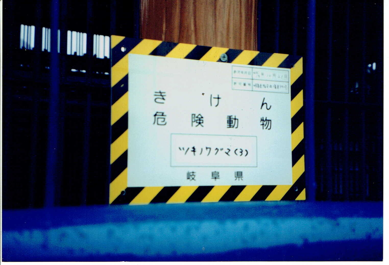 保護中: クマの虐待事件