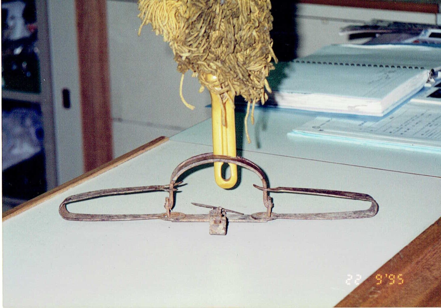 保護中: ワナにかかったジェネヴィーブ