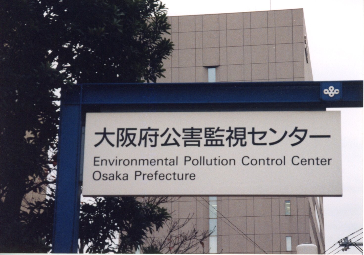 保護中: ホームレスの犬たち（大阪）