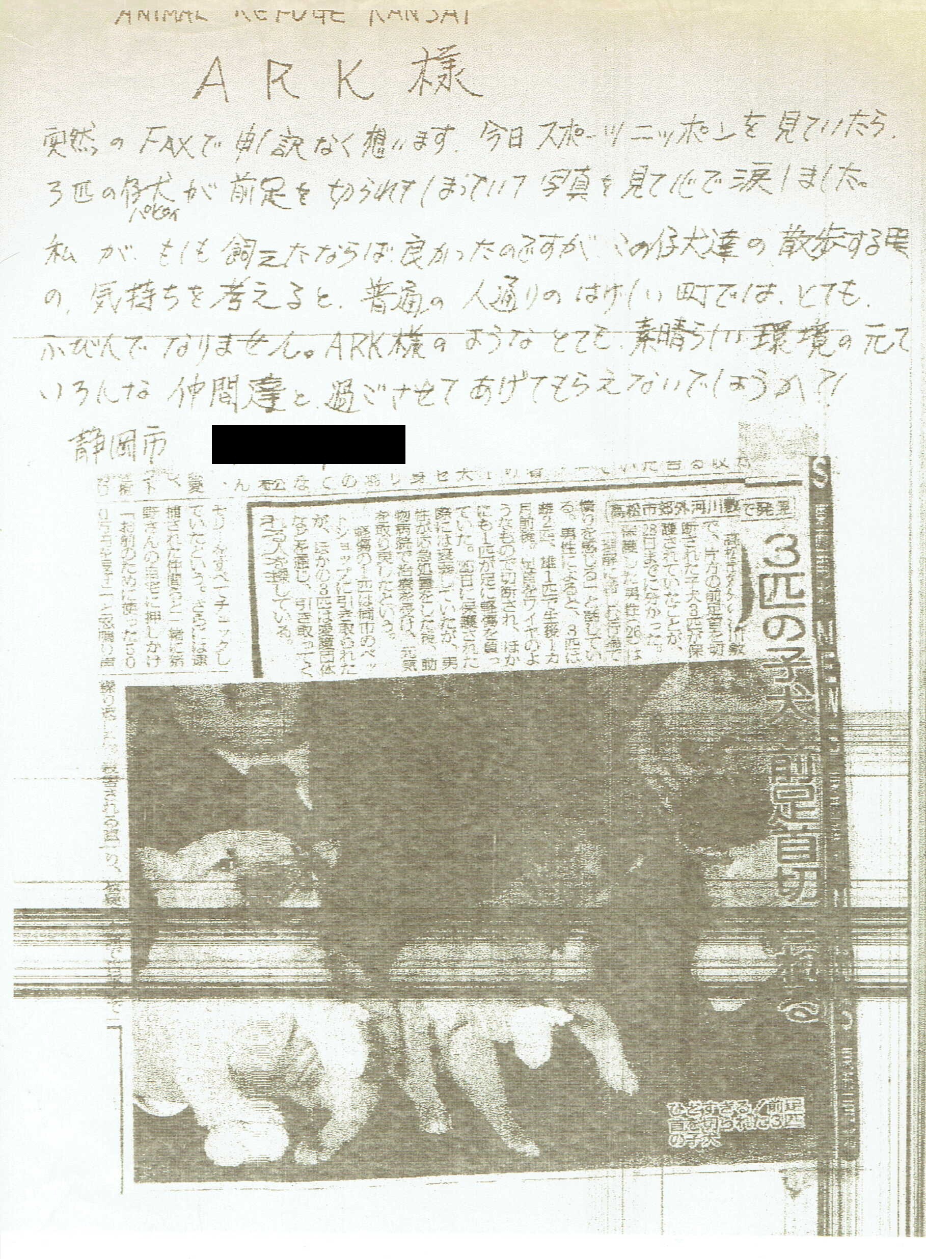 保護中: 足首を切断された子犬たち