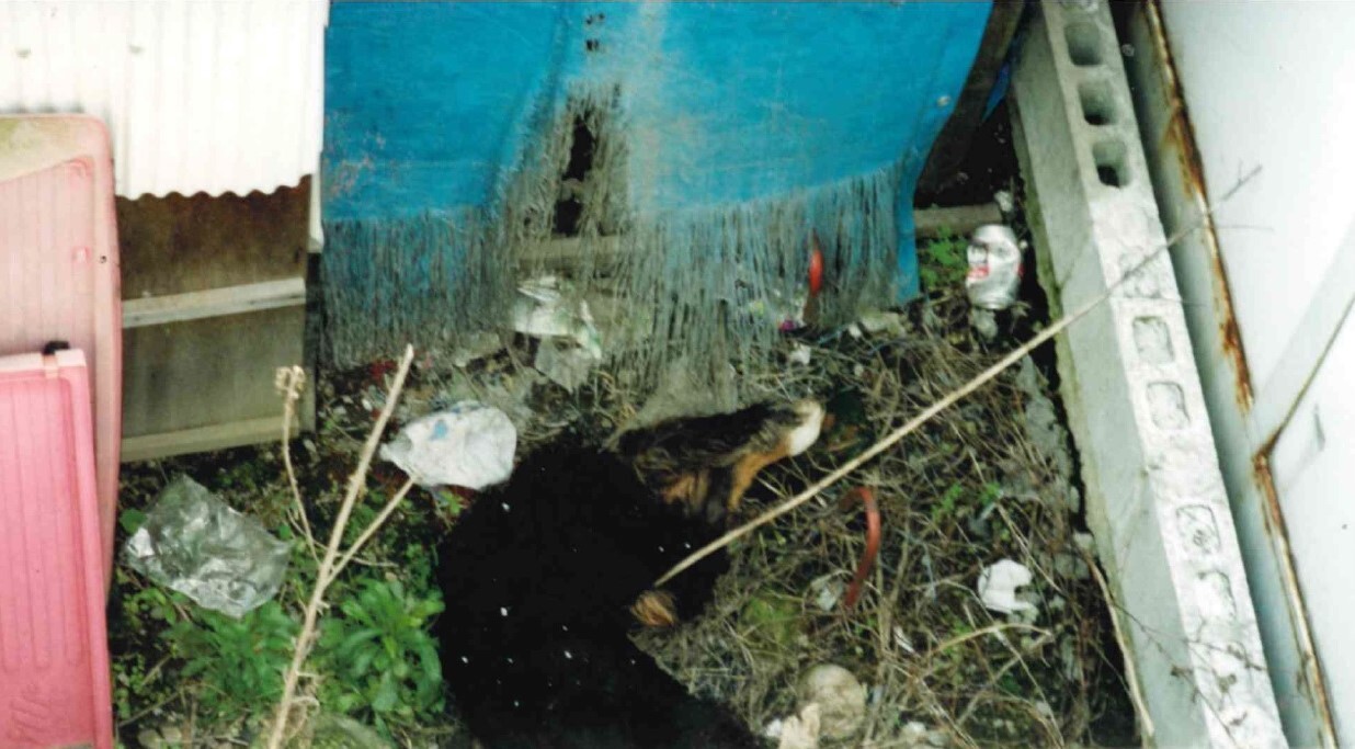 保護中: ブリーダーの施設内