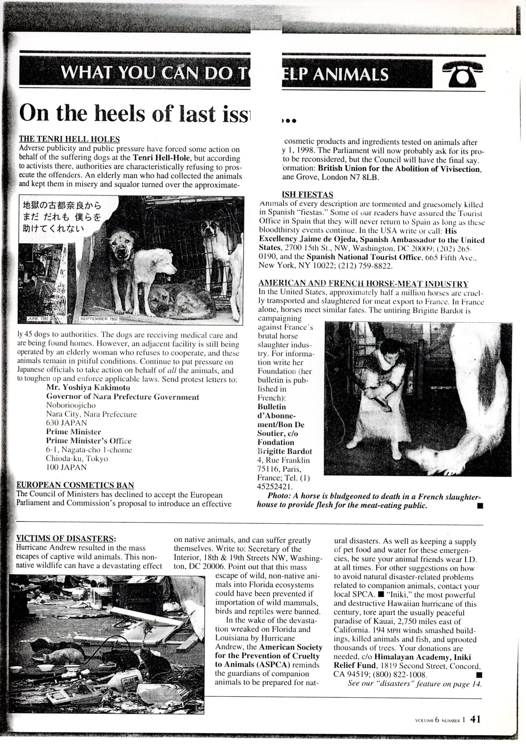 キャンペーンの呼びかけ