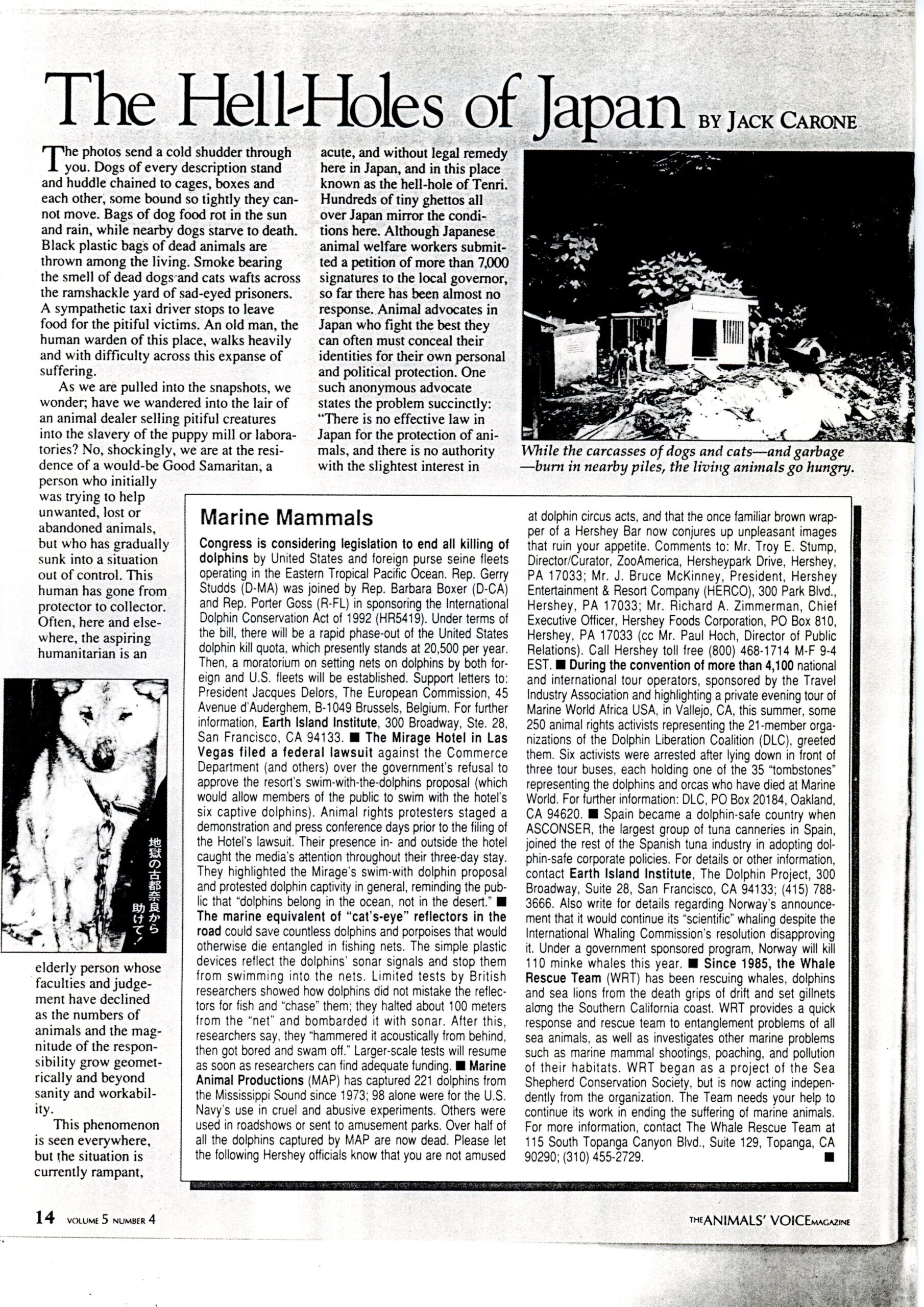 雑誌アニマルボイス