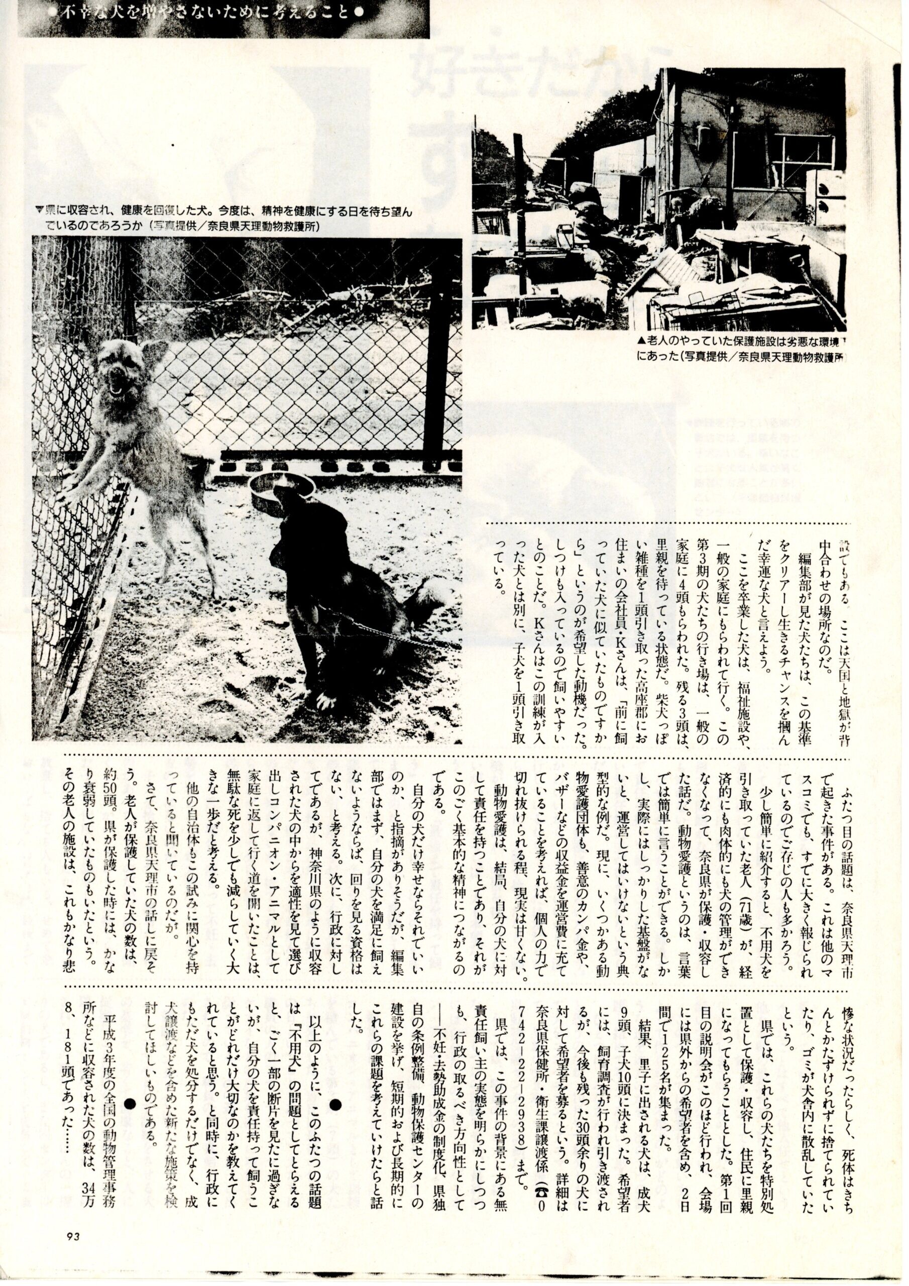 Japanese Magazine Article