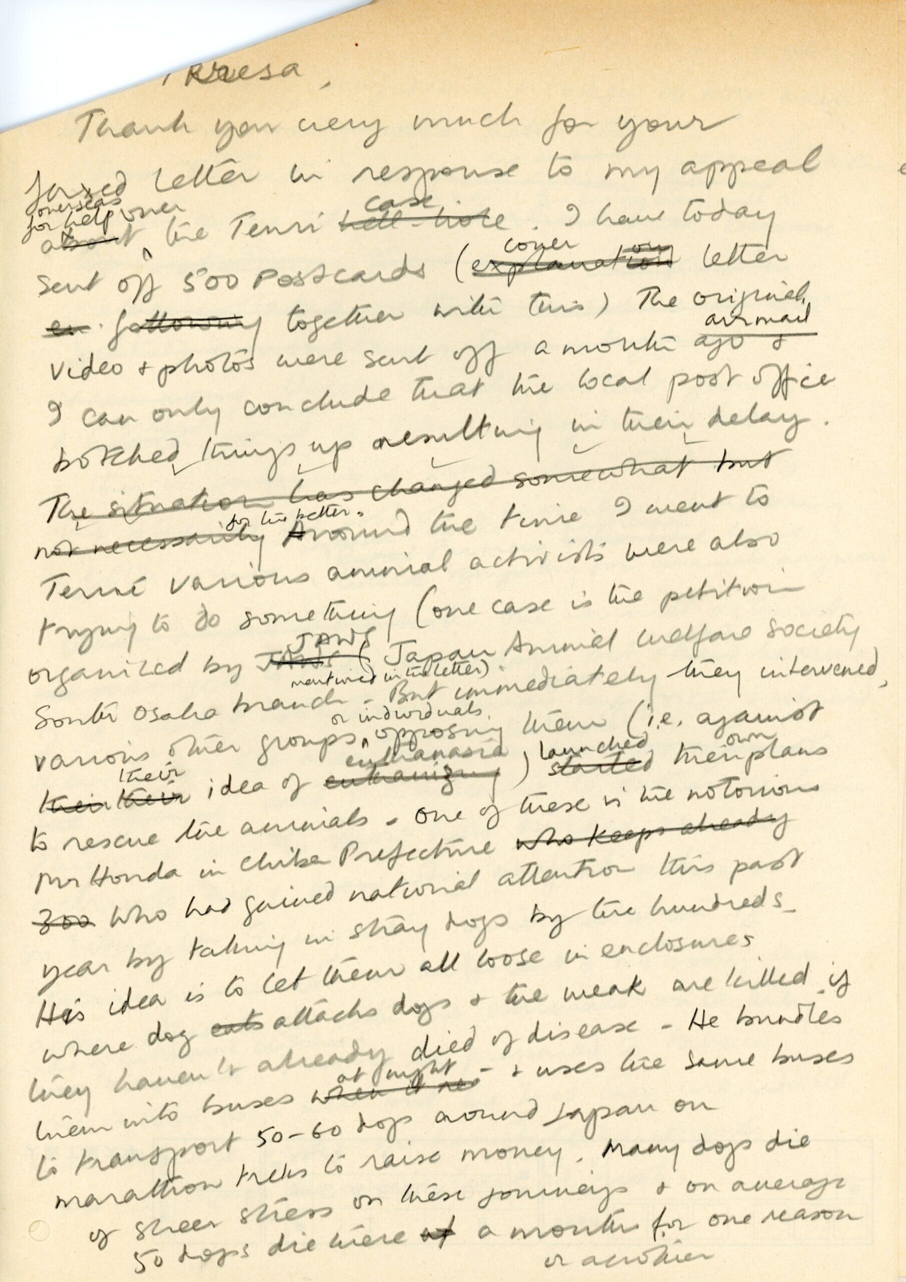 保護中: リズからテレサへの手紙