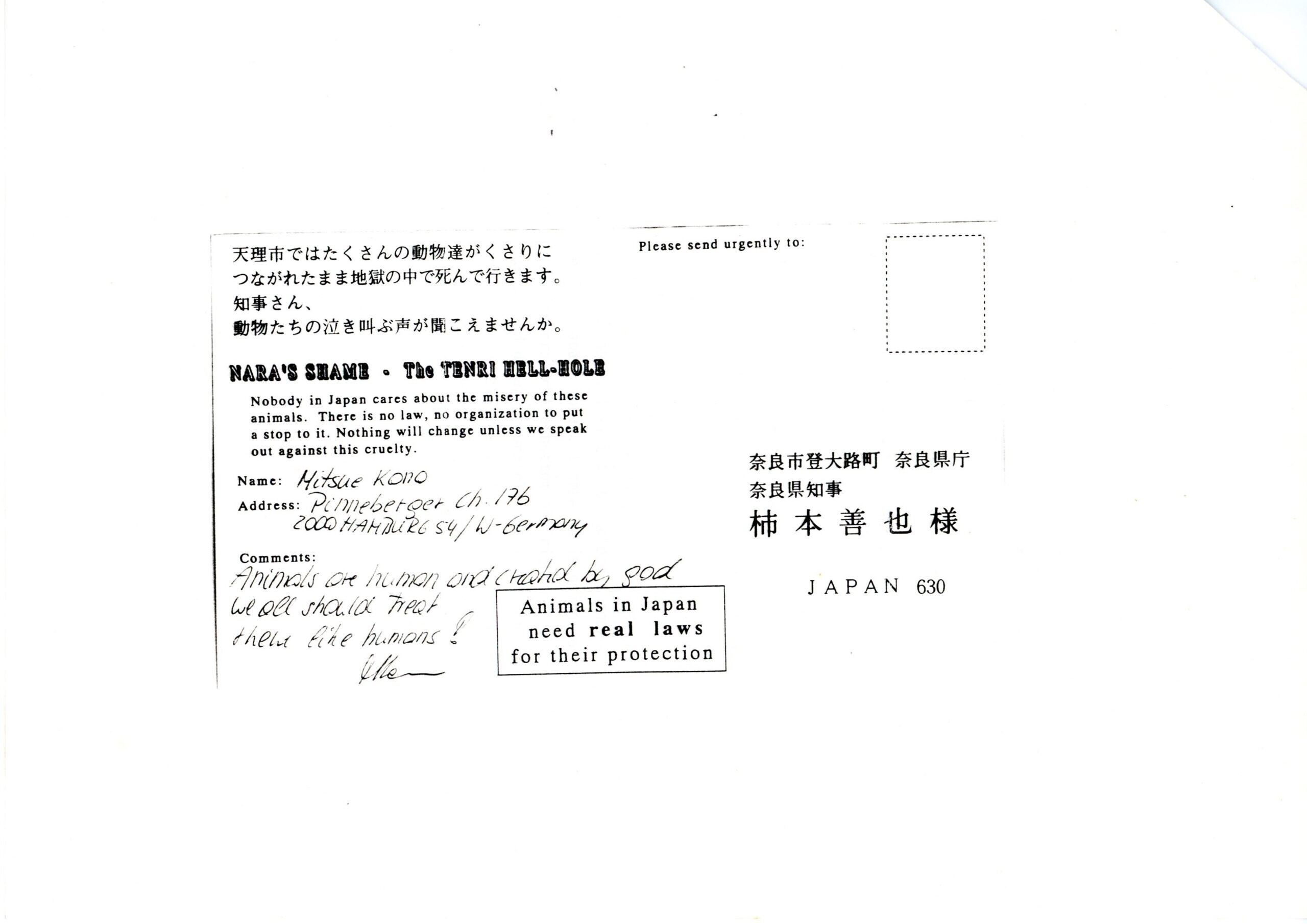 保護中: 絵葉書