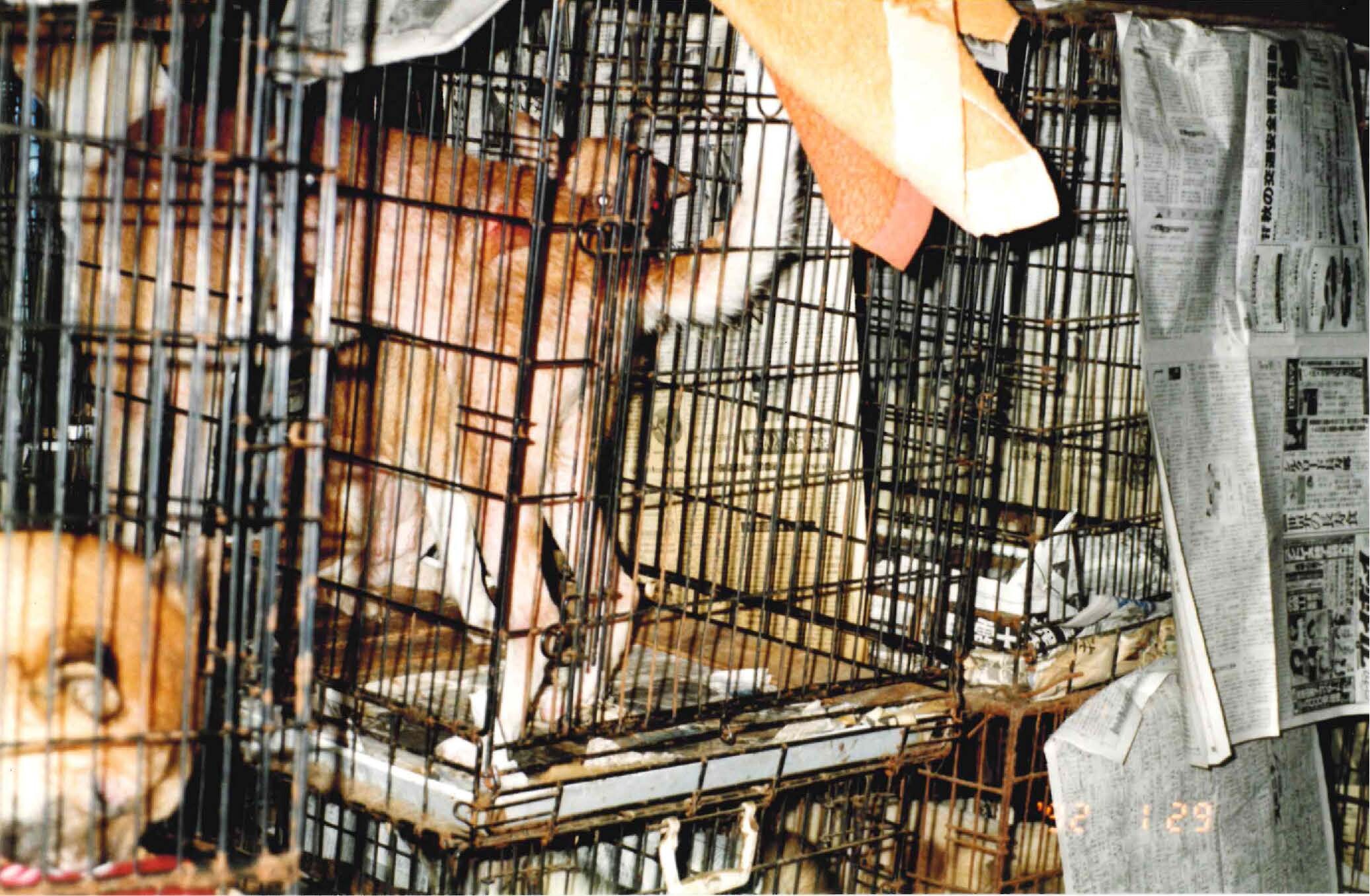 保護中: 施設内部