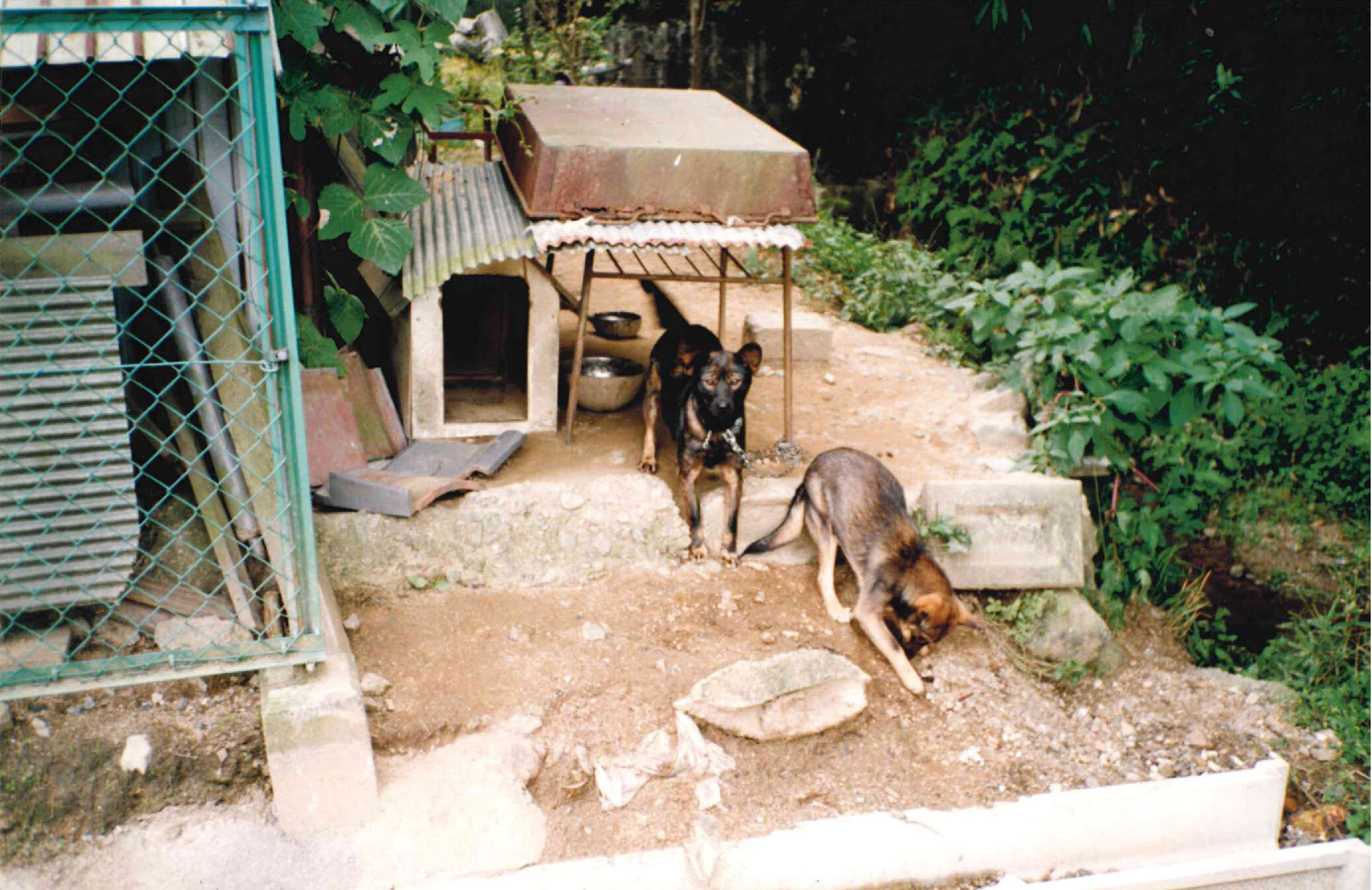 Protected: Outside the Hoarder_s House