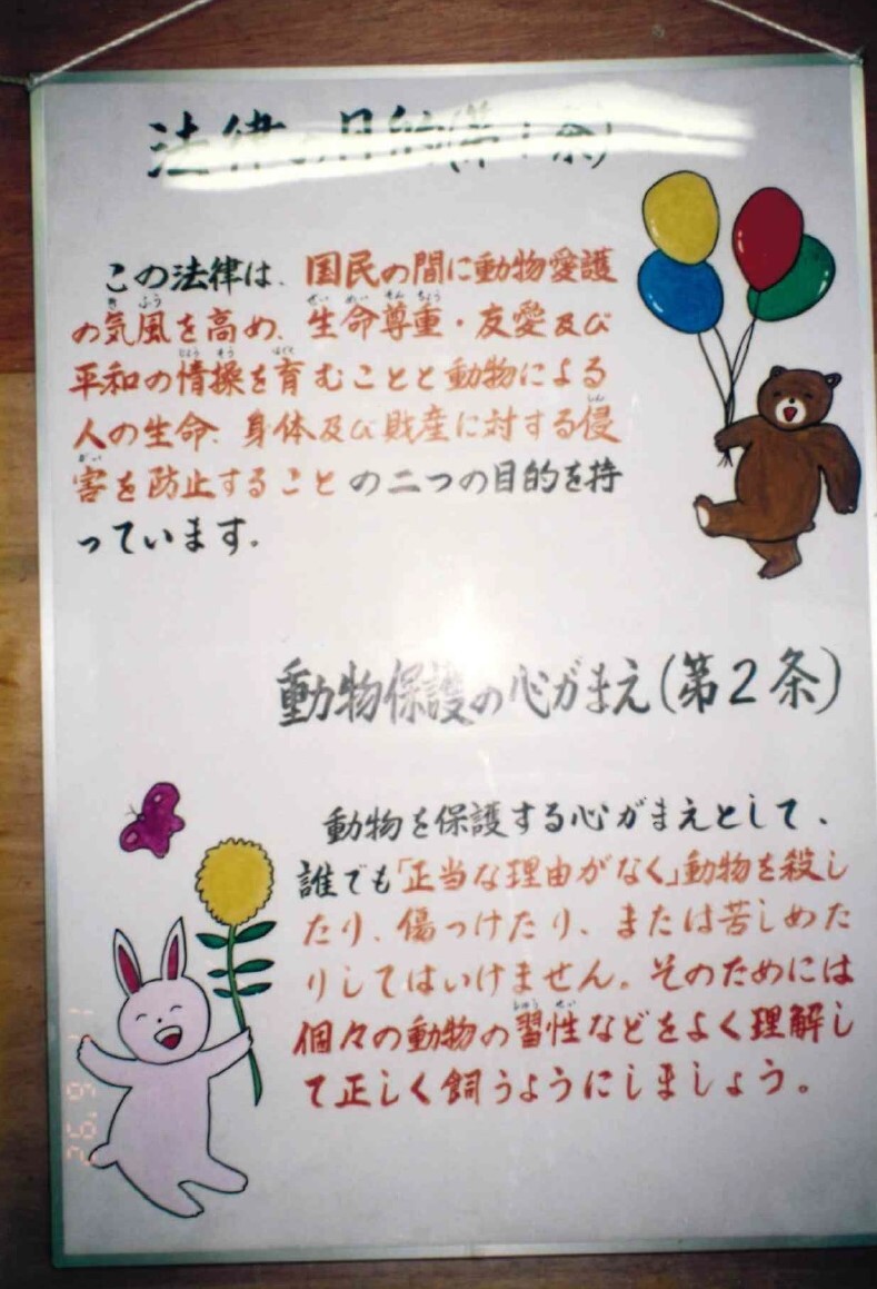 保護中: ポスター・犬のリスト